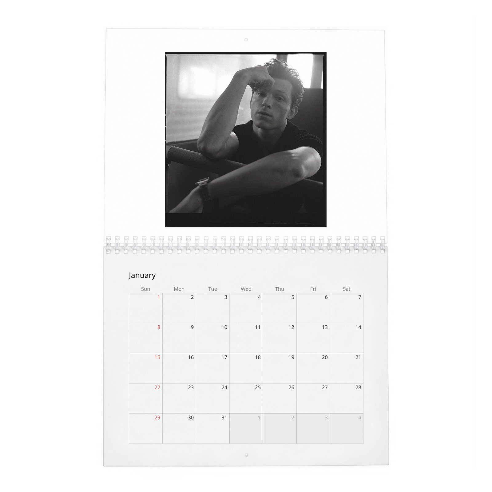 01 Tom Holland - The Charm And Grit Of 2027 Wall Calendar