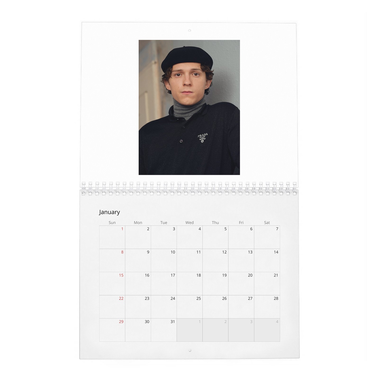 Tom Holland - The Center Of The Web 2027 Wall Calendar
