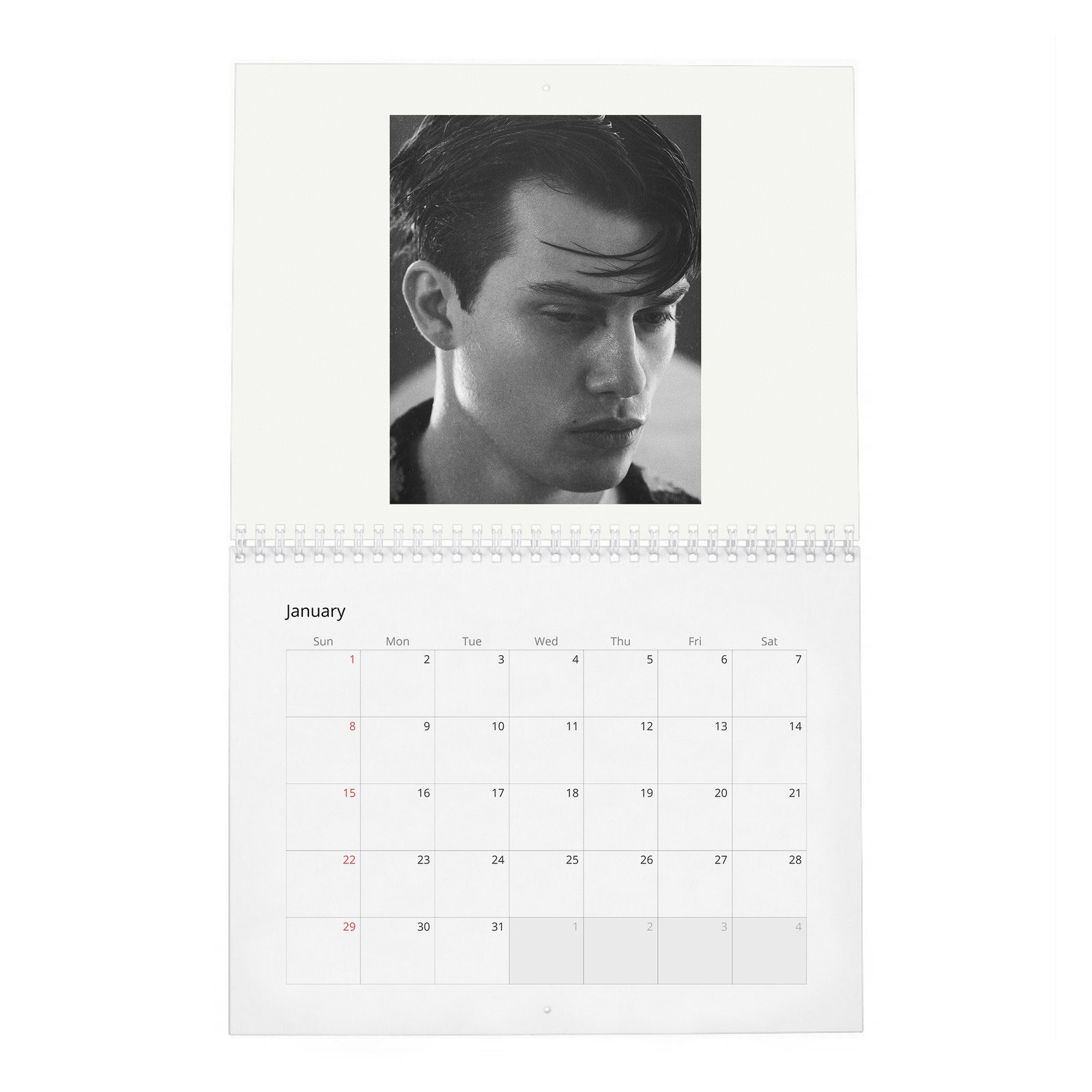 01 Nicholas Galitzine - Flaunt 2027 Wall Calendar