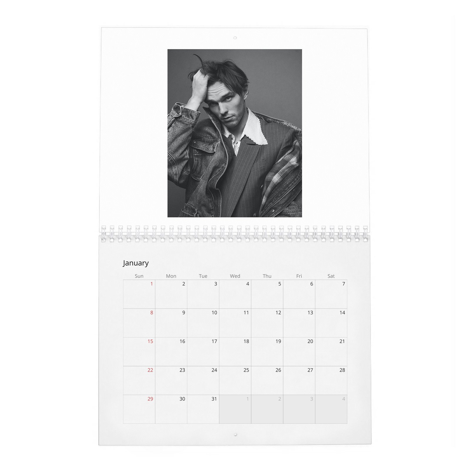 Nicholas Hoult - The Great 2027 Wall Calendar