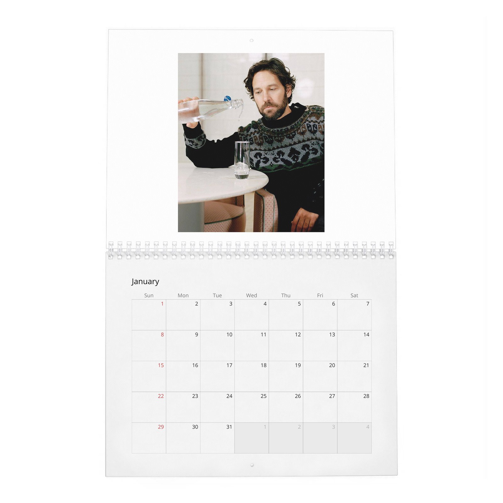 Paul Rudd - Outside His Wheelhouse 2027 Wall Calendar