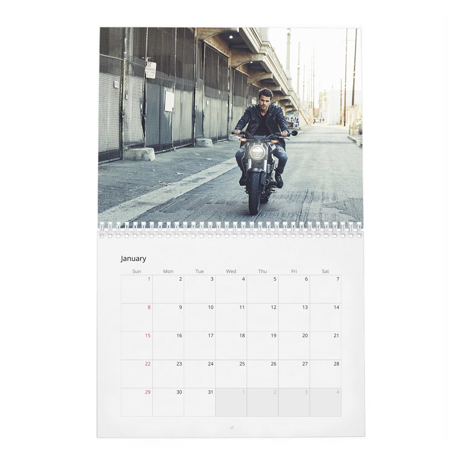 01 Paul Wesley - Handsome Devil 2027 Wall Calendar