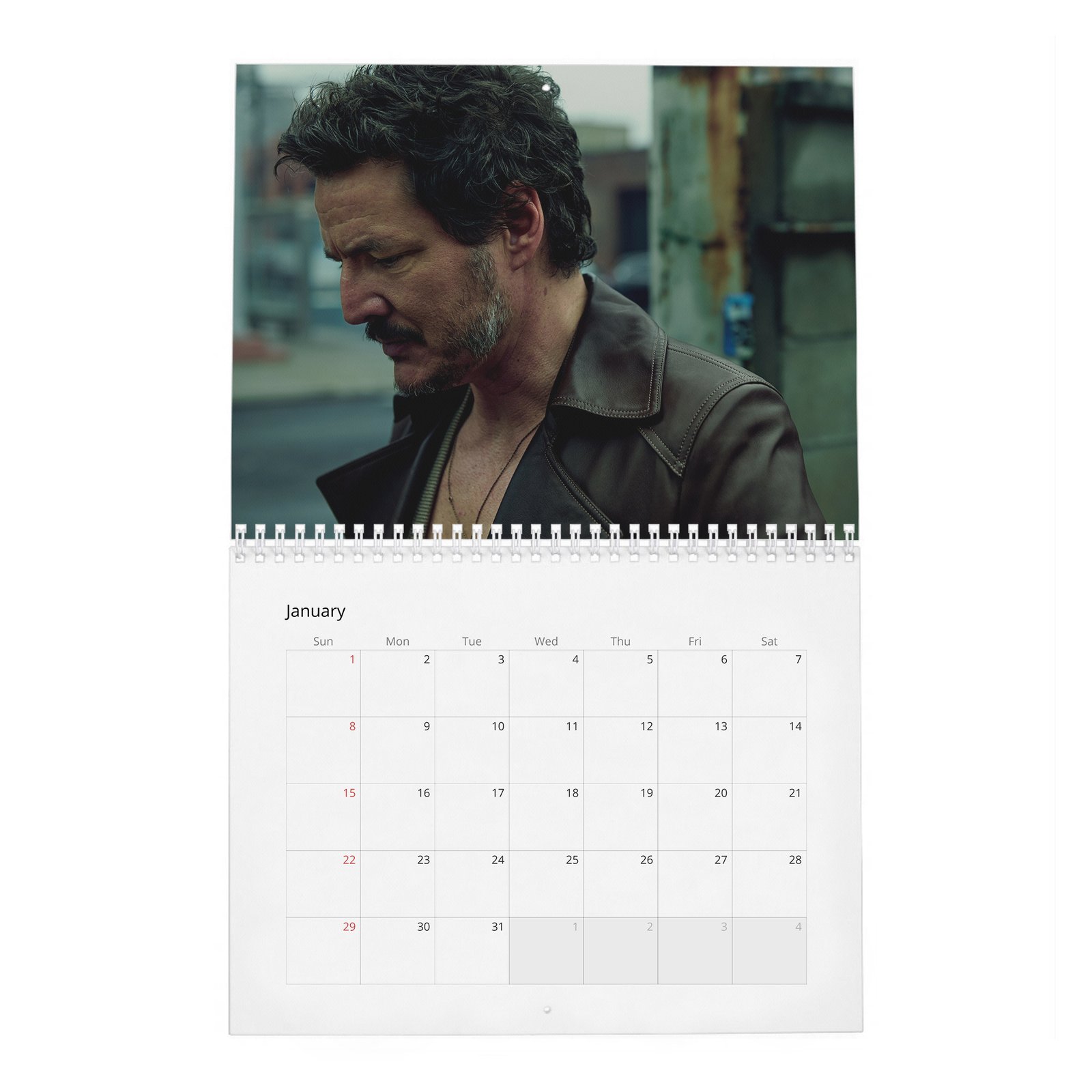 01 Pedro Pascal - The Dangerously Charming 2027 Wall Calendar