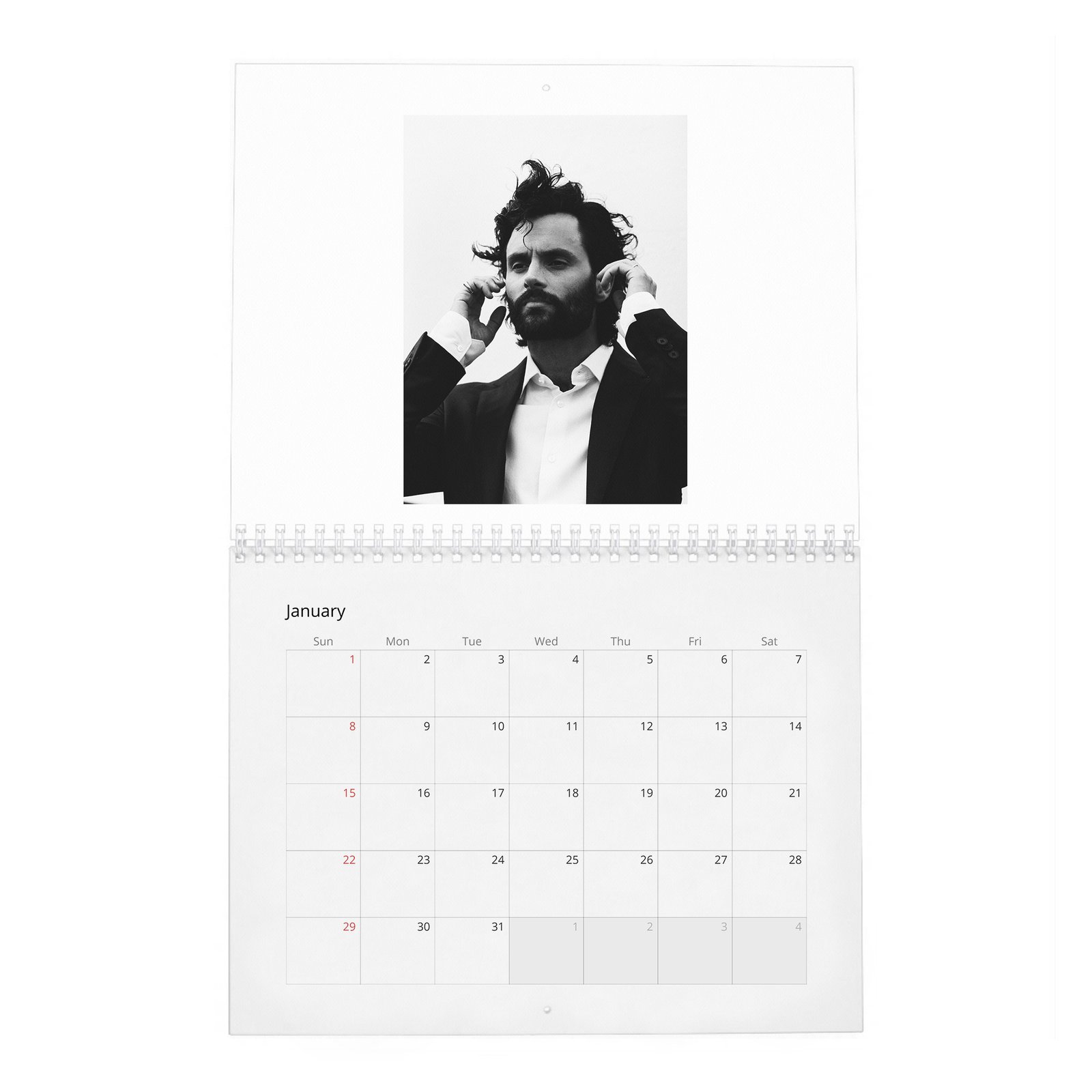 Penn Badgley - Perfect Handsome 2027 Wall Calendar