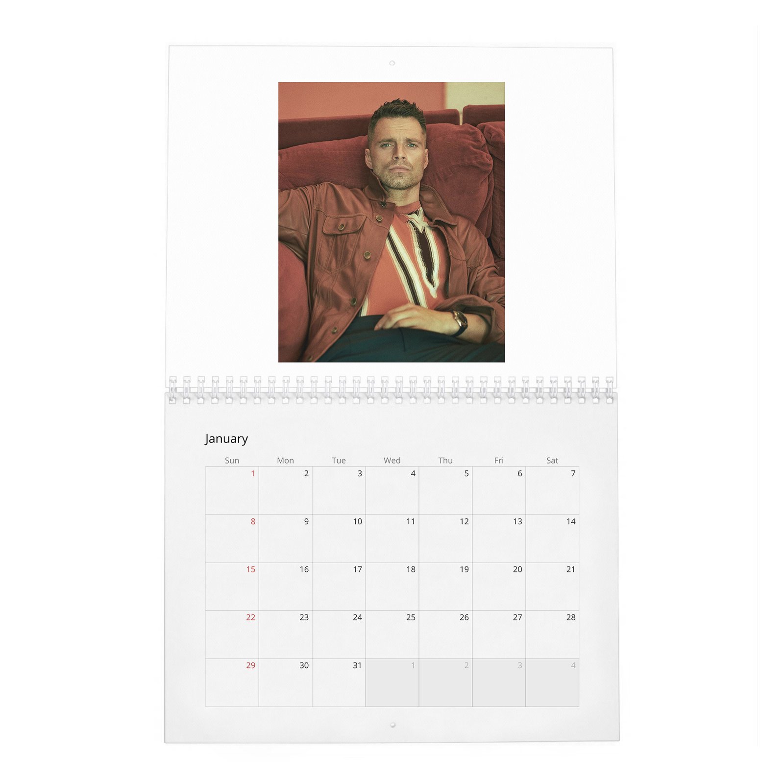 01 Sebastian Stan - Dives Deep 2027 Wall Calendar