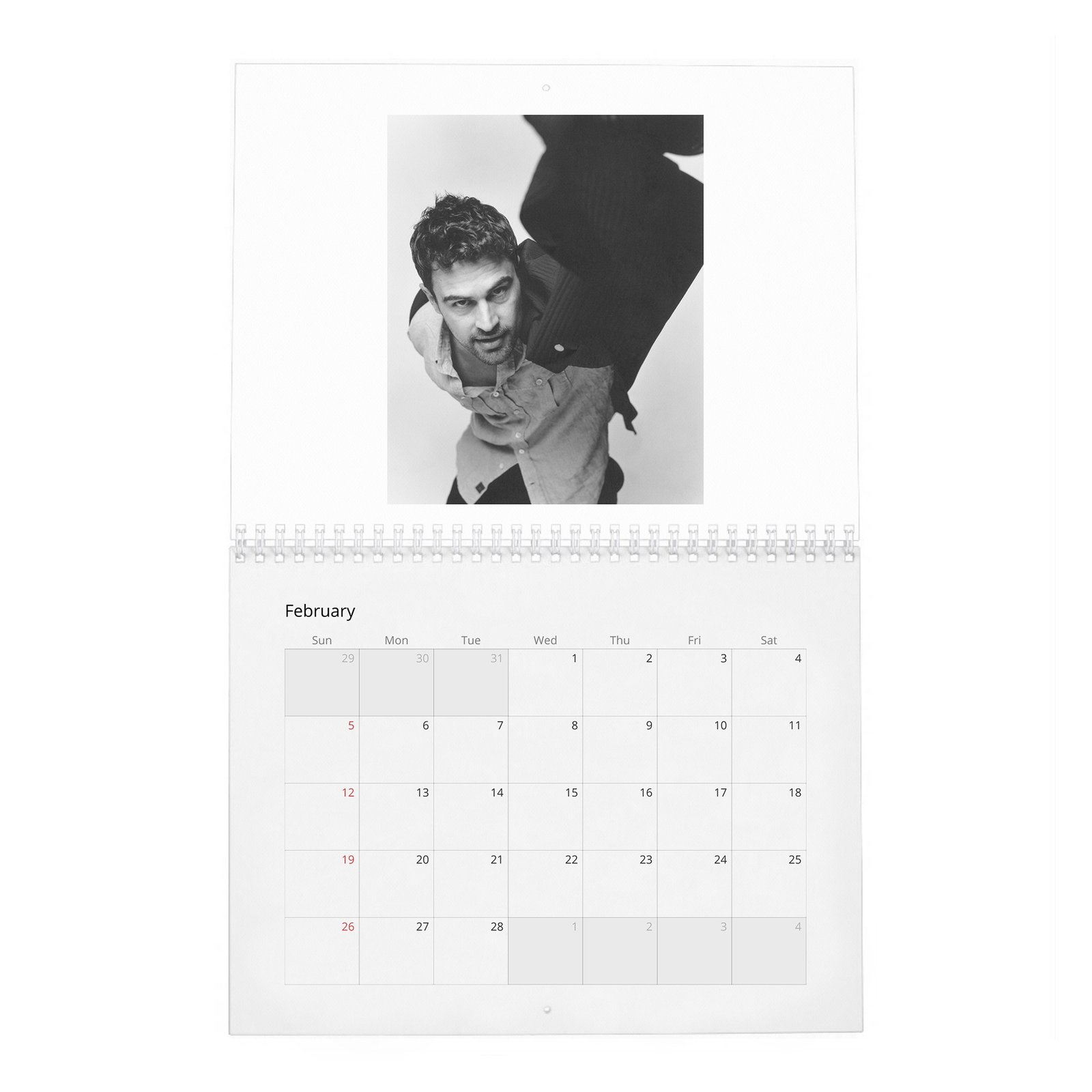 02 Theo James - Objectification And Being A Heart-Throb 2027 Wall Calendar