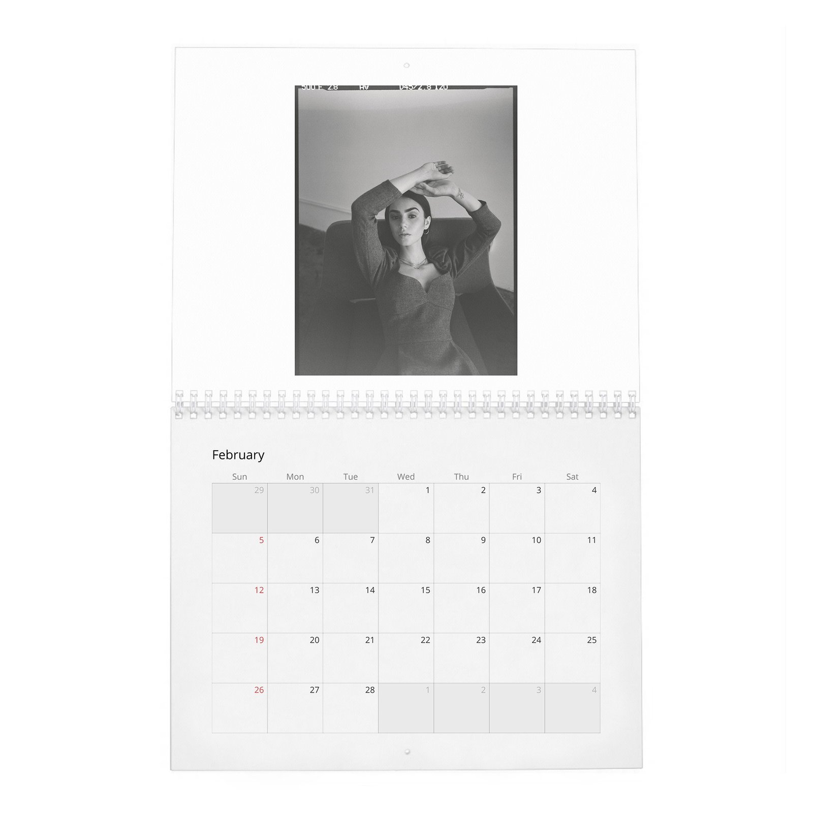 02 Lily Collins - Laterals 2027 Wall Calendar