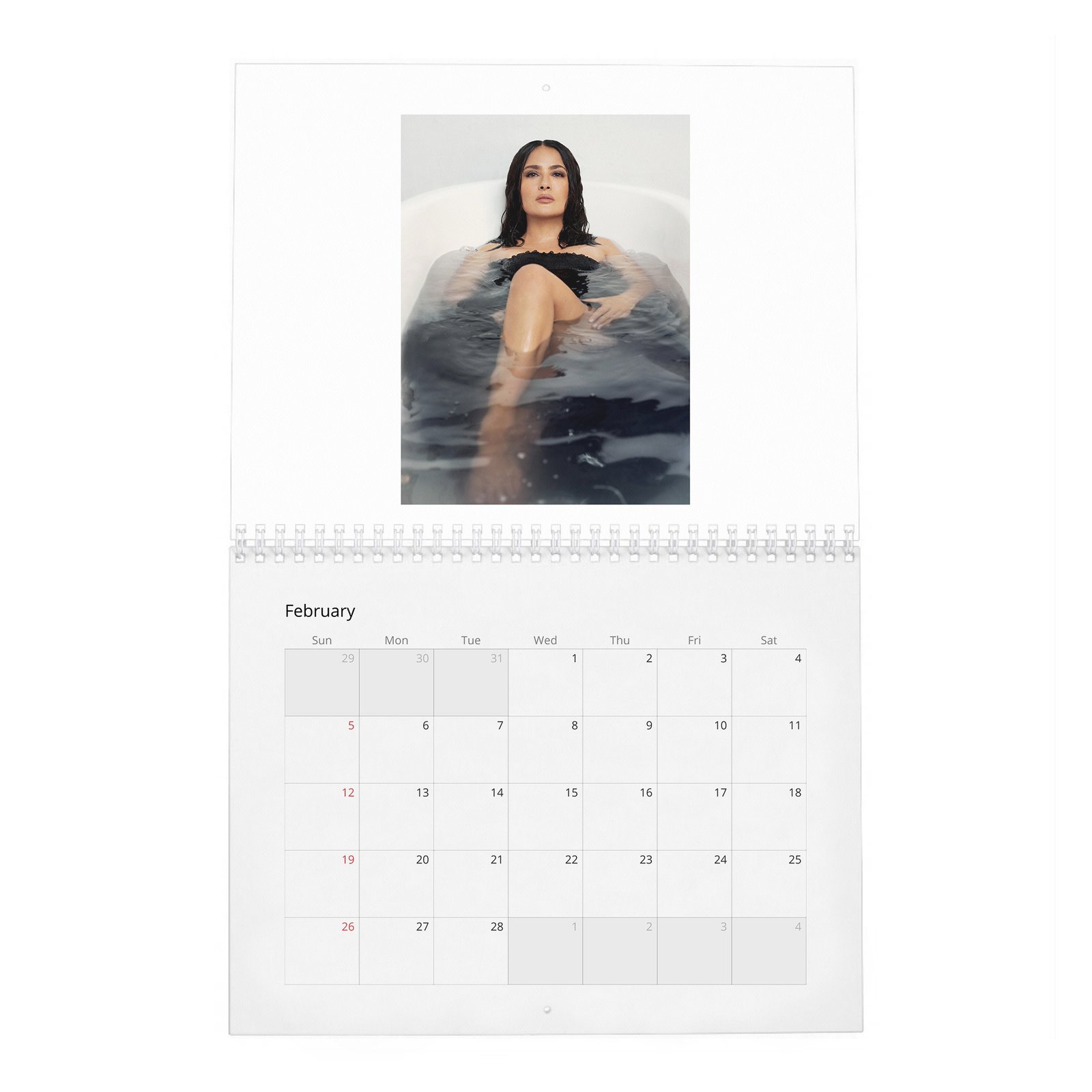 Salma Hayek - Settles In 2027 Wall Calendar