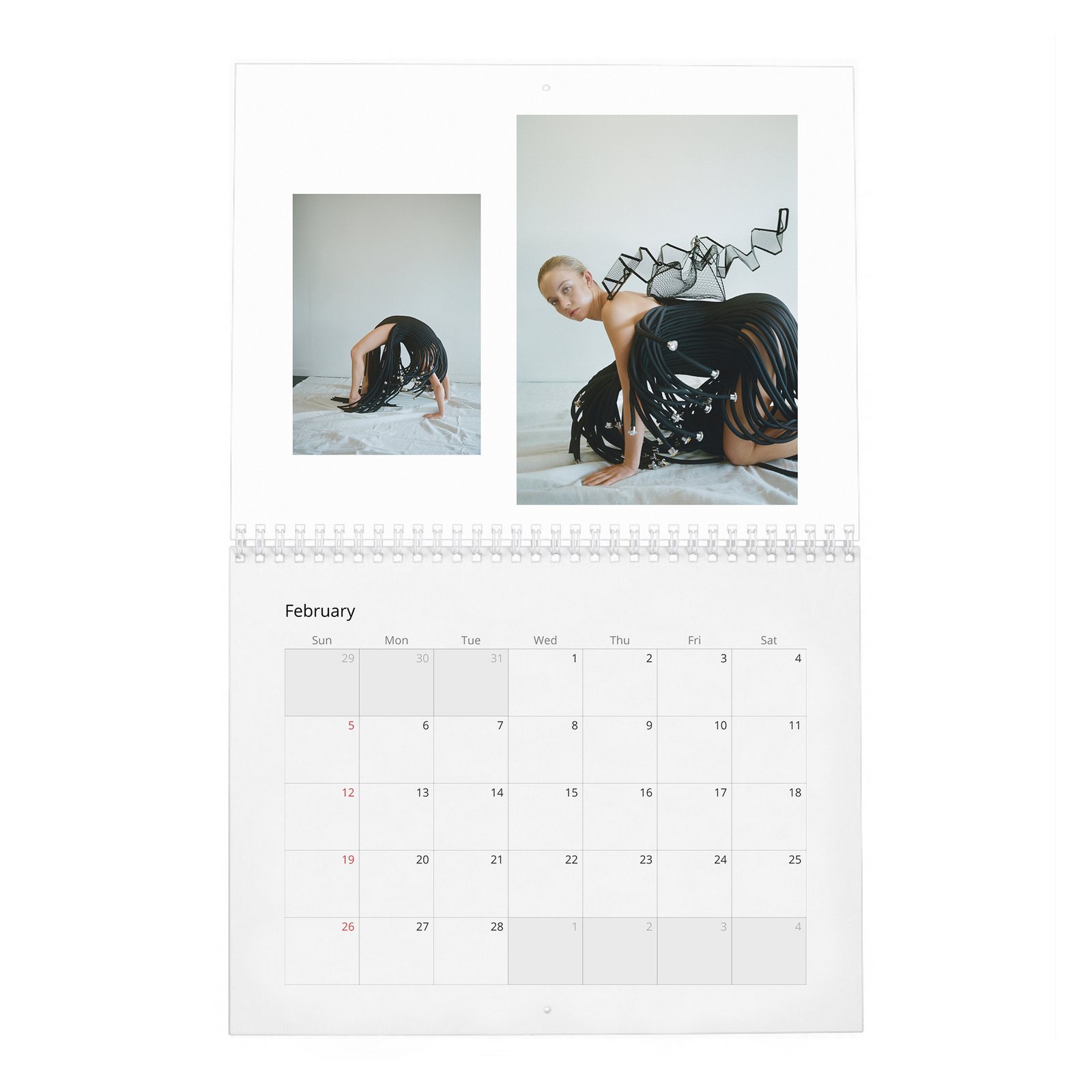 02 Sydney Sweeney - Plan A Only 2027 Wall Calendar