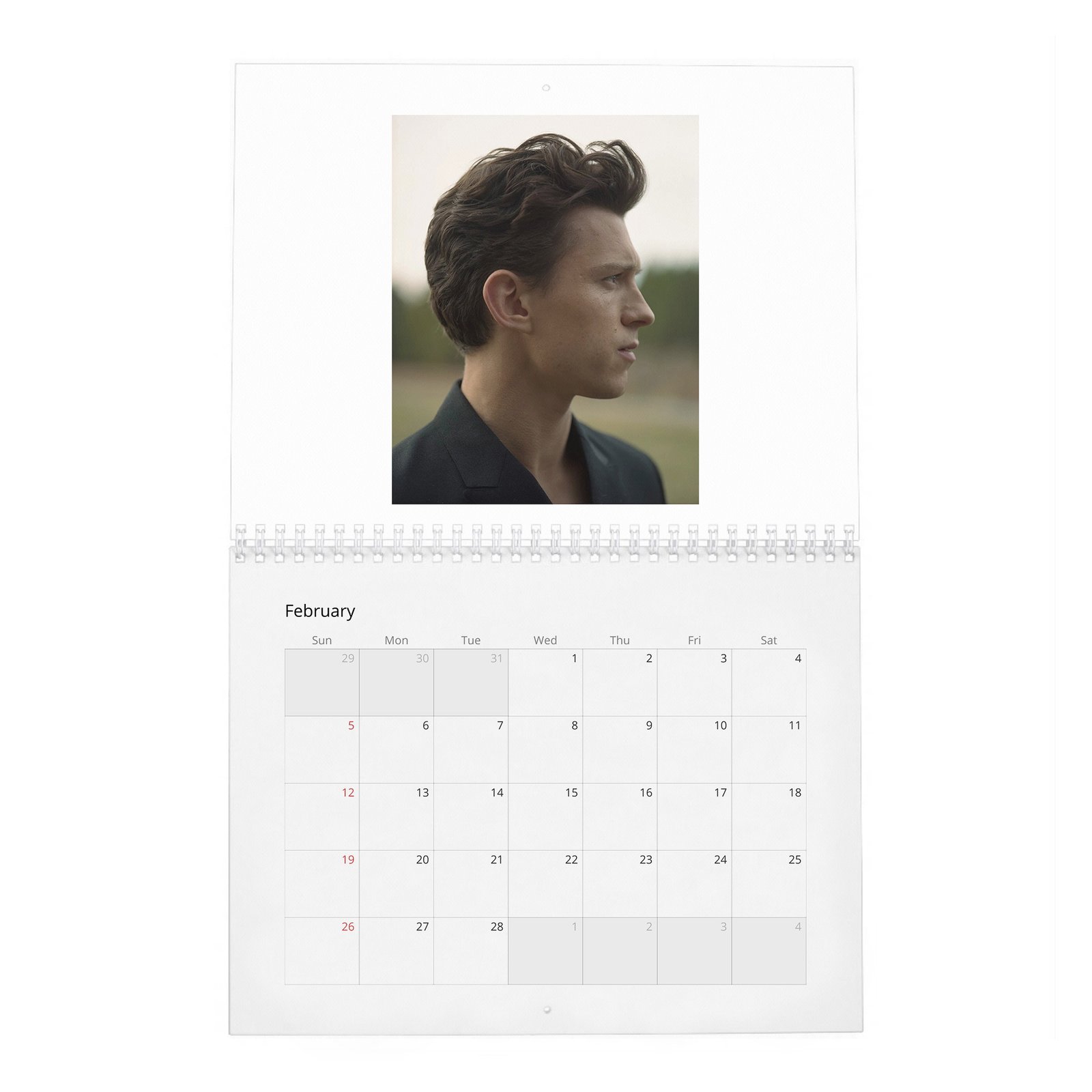 02 Tom Holland - The Charm And Grit Of 2027 Wall Calendar