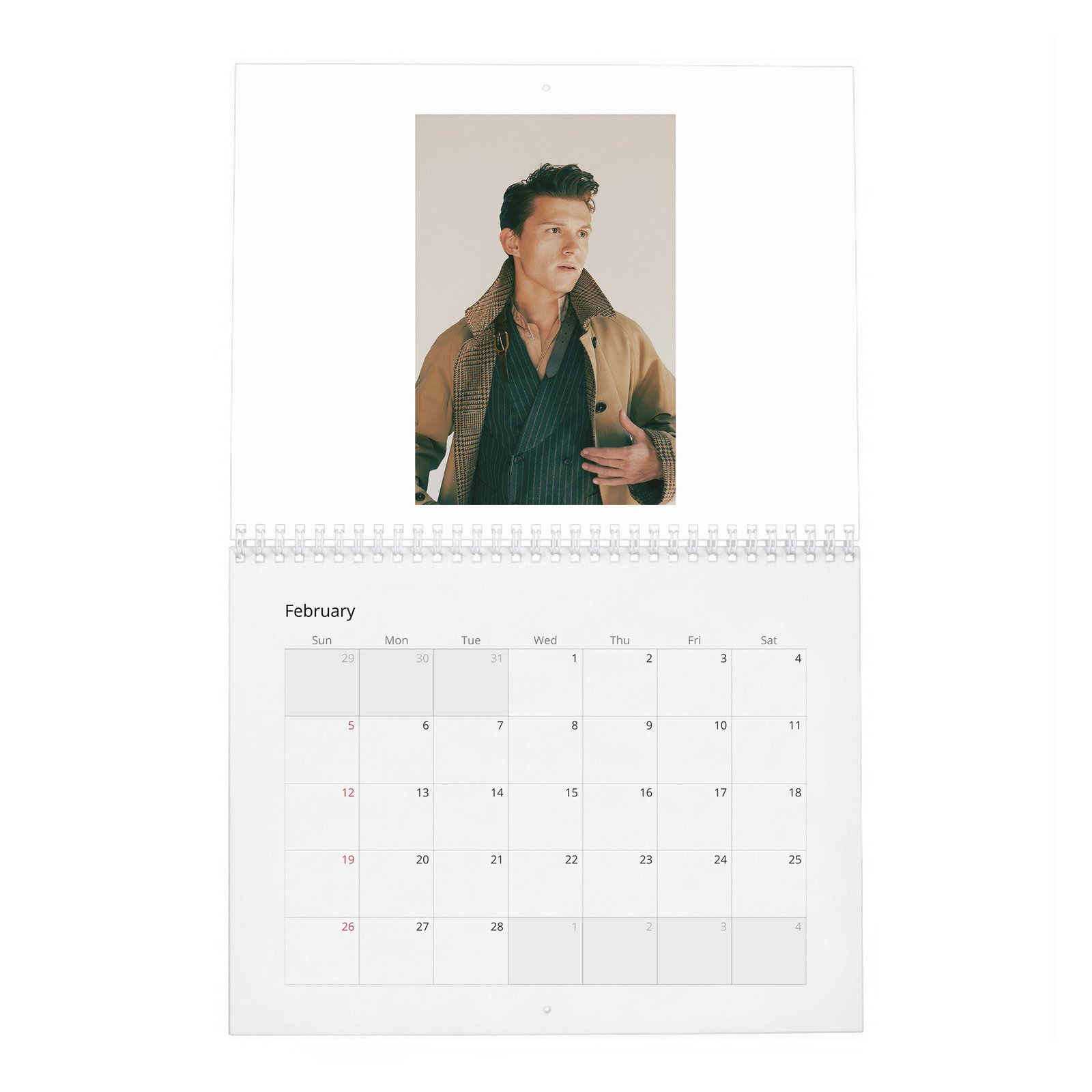 Tom Holland - Braces For Impact 2027 Wall Calendar