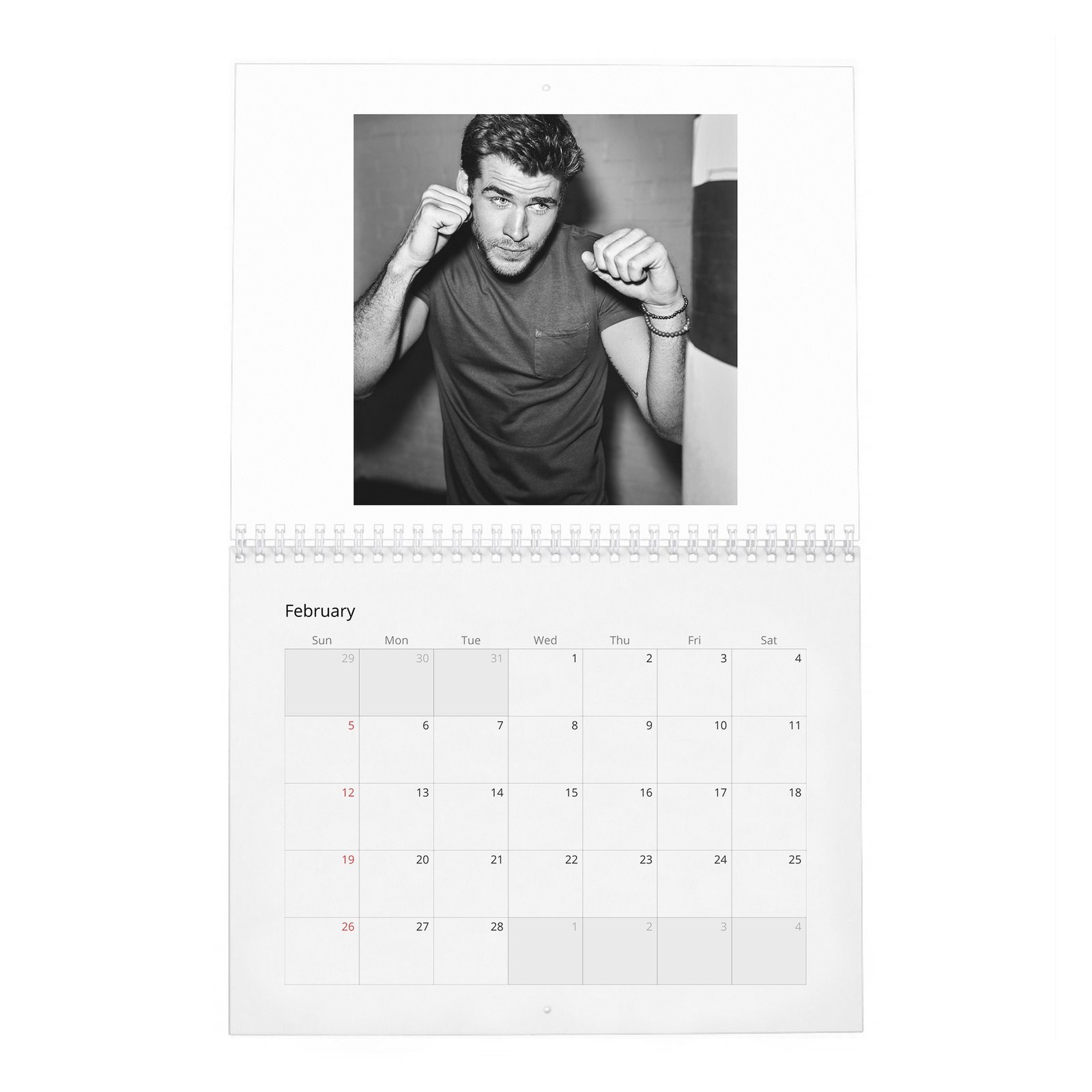 02 Liam Hemsworth - A Force Of Nature 2027 Wall Calendar