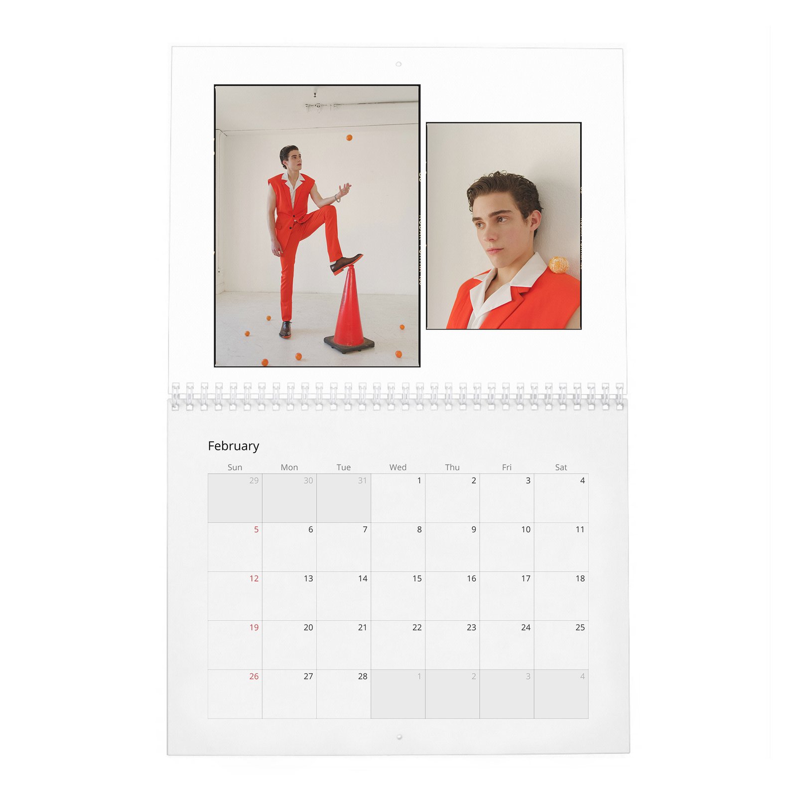 Joshua Basshett - Flaunt 2027 Wall Calendar