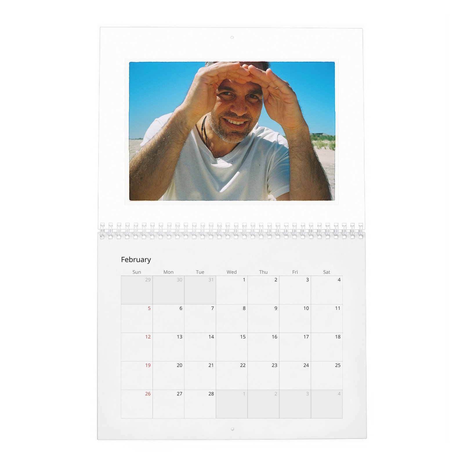 02 Mark Ruffalo - So It Goes 2027 Wall Calendar