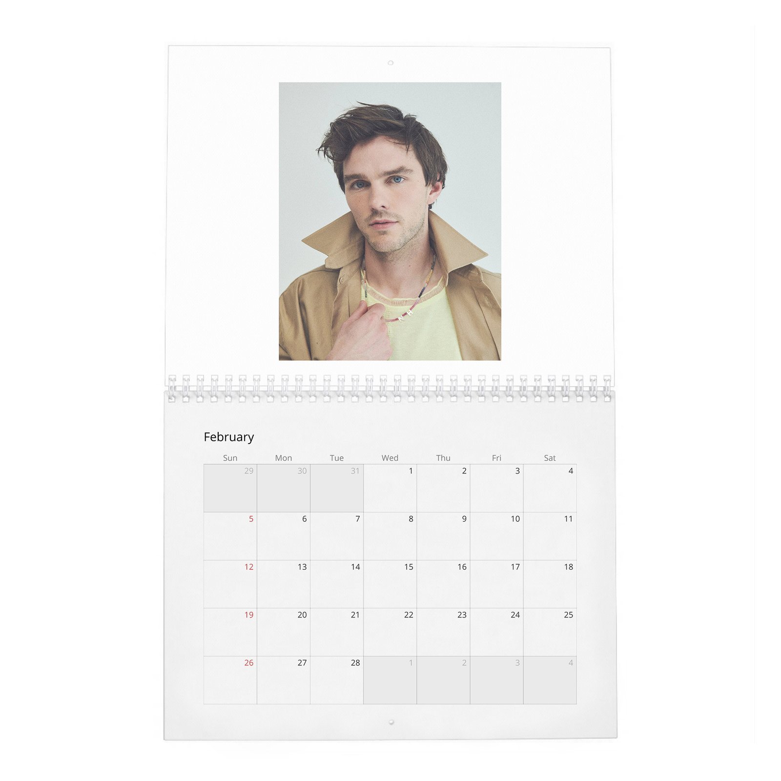 Nicholas Hoult - The Great 2027 Wall Calendar