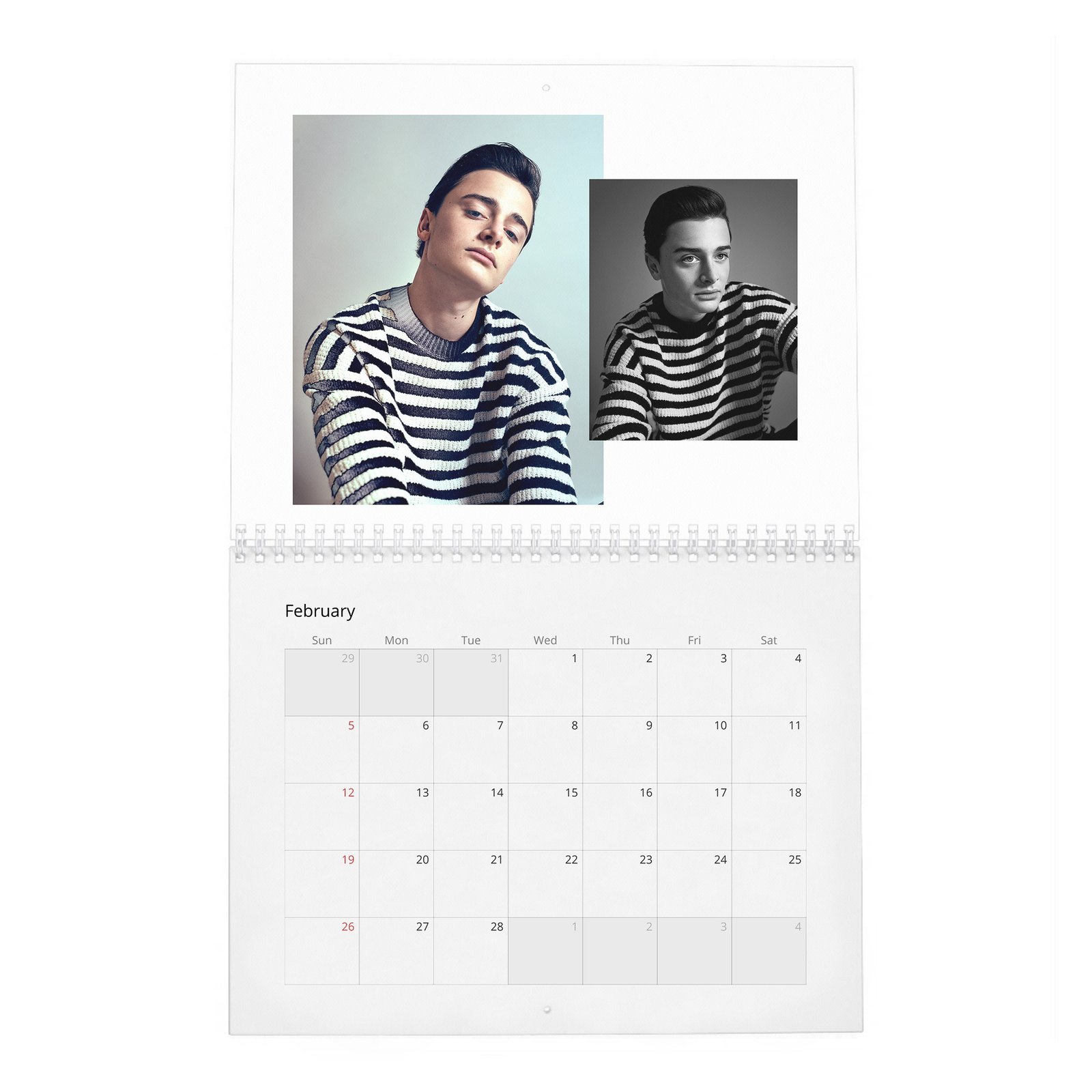 02 Noah Schnapp - Fame Found Him 2027 Wall Calendar