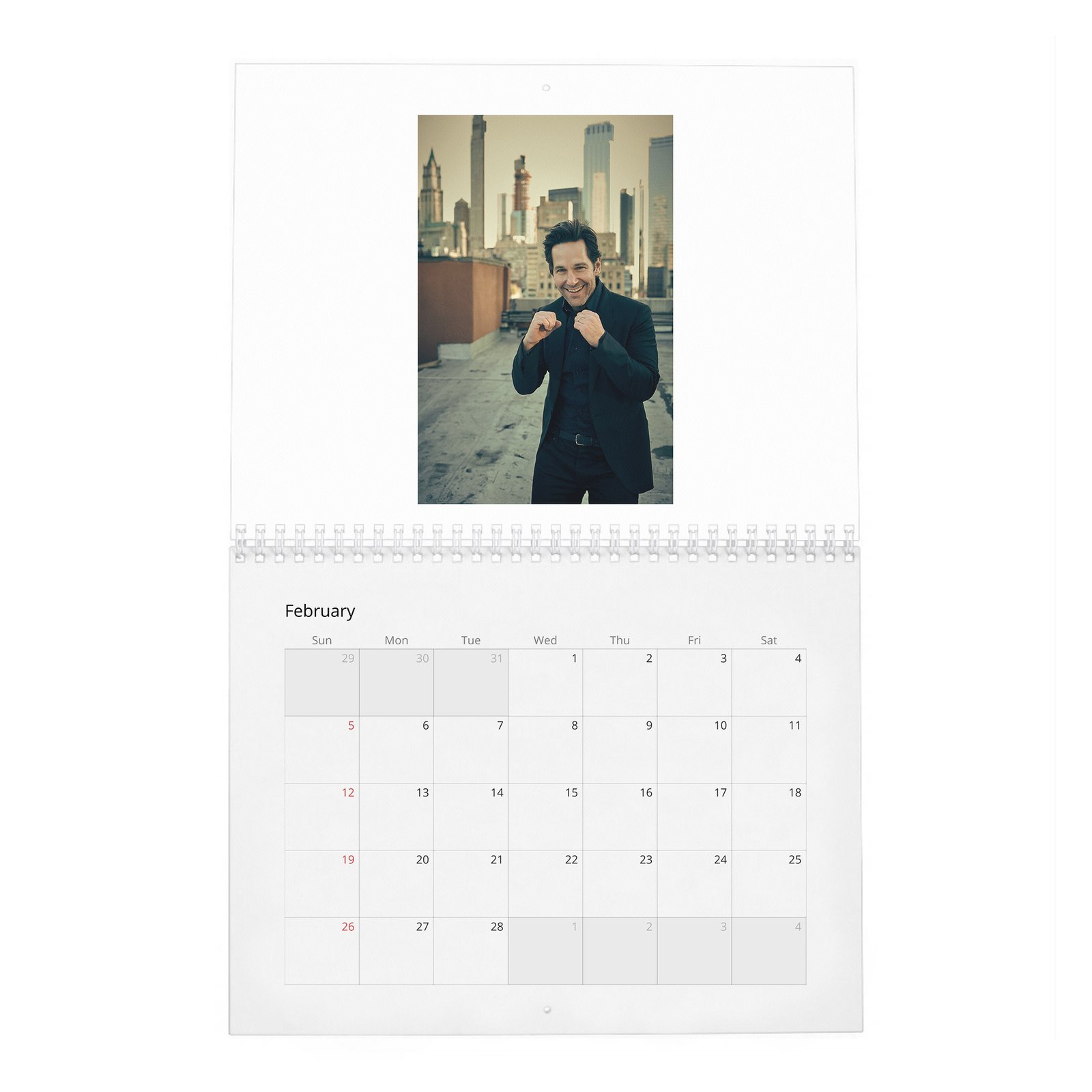 02 Paul Rudd - The Pole Vaulter 2027 Wall Calendar
