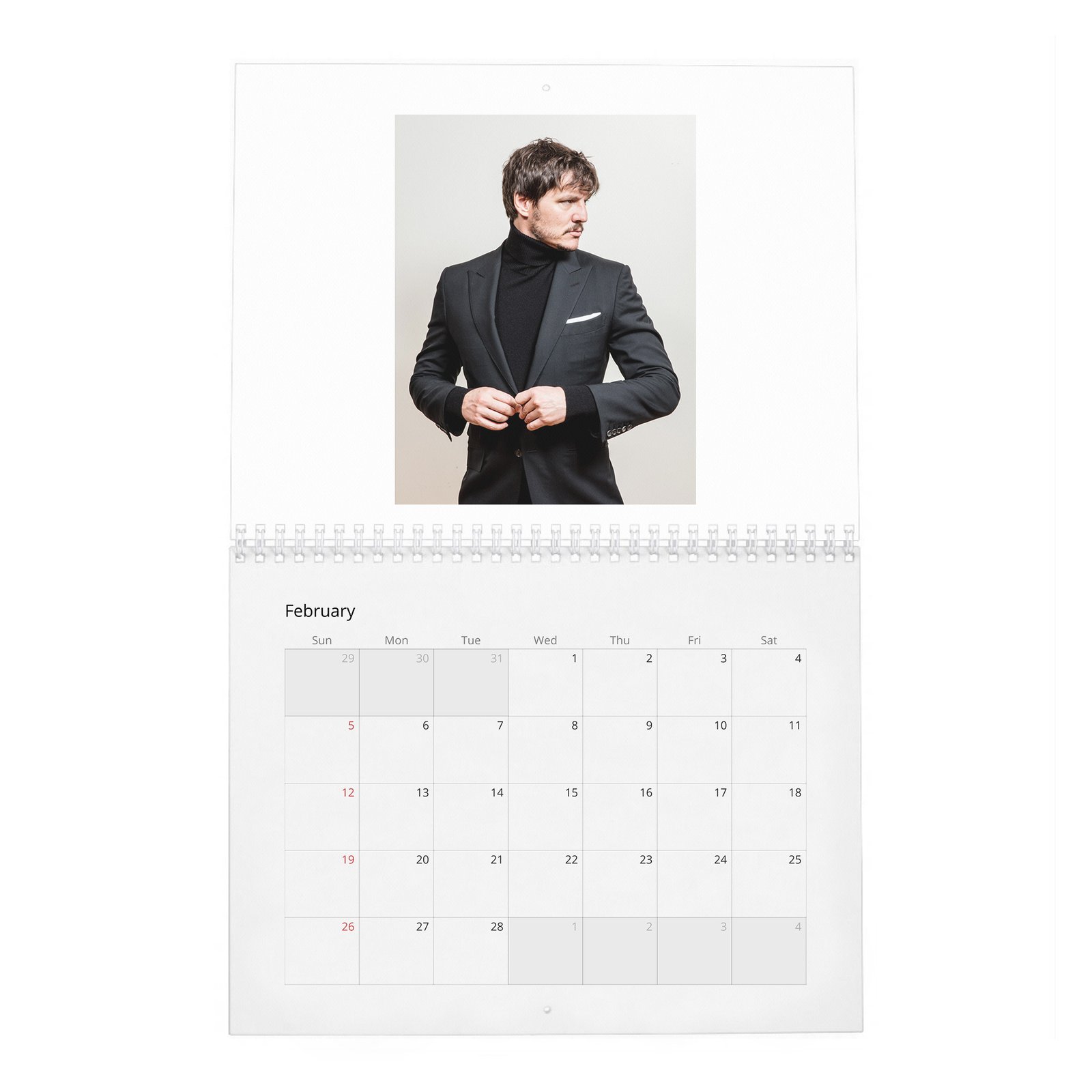 Pedro Pascal - Bad Hombre 2027 Wall Calendar
