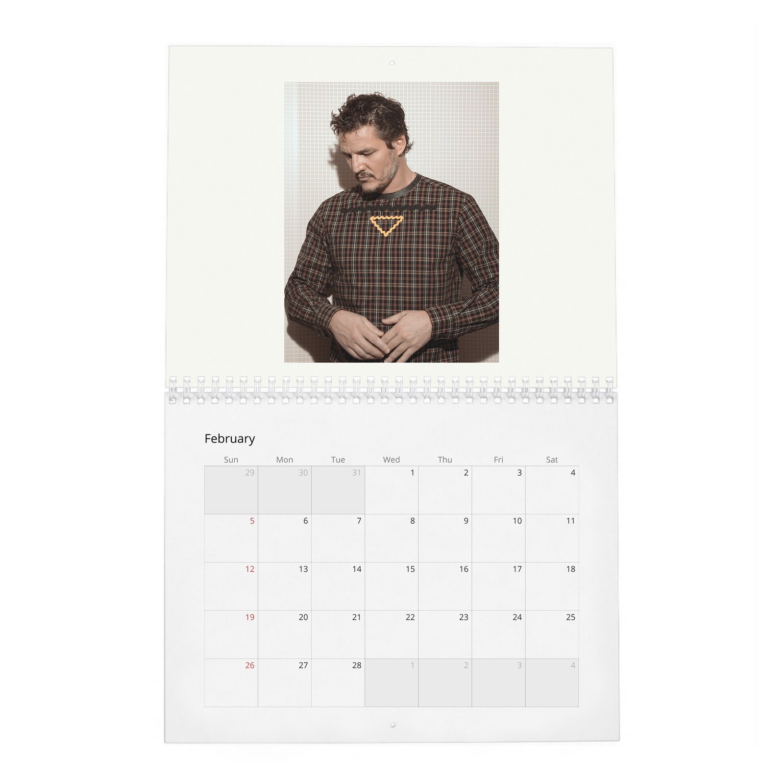 02 Pedro Pascal - Flaunt 2027 Wall Calendar