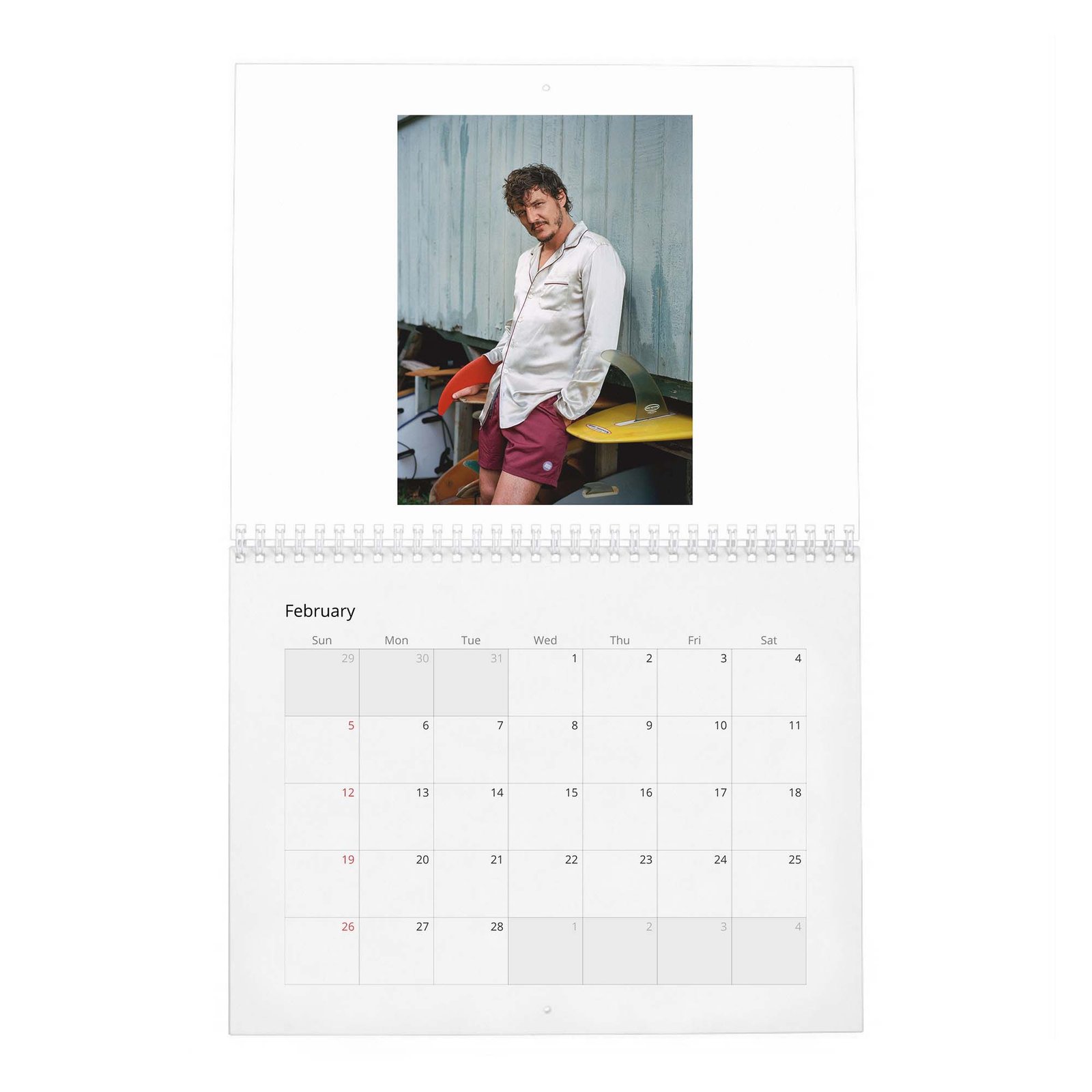 02 Pedro Pascal - In Paradise 2027 Wall Calendar