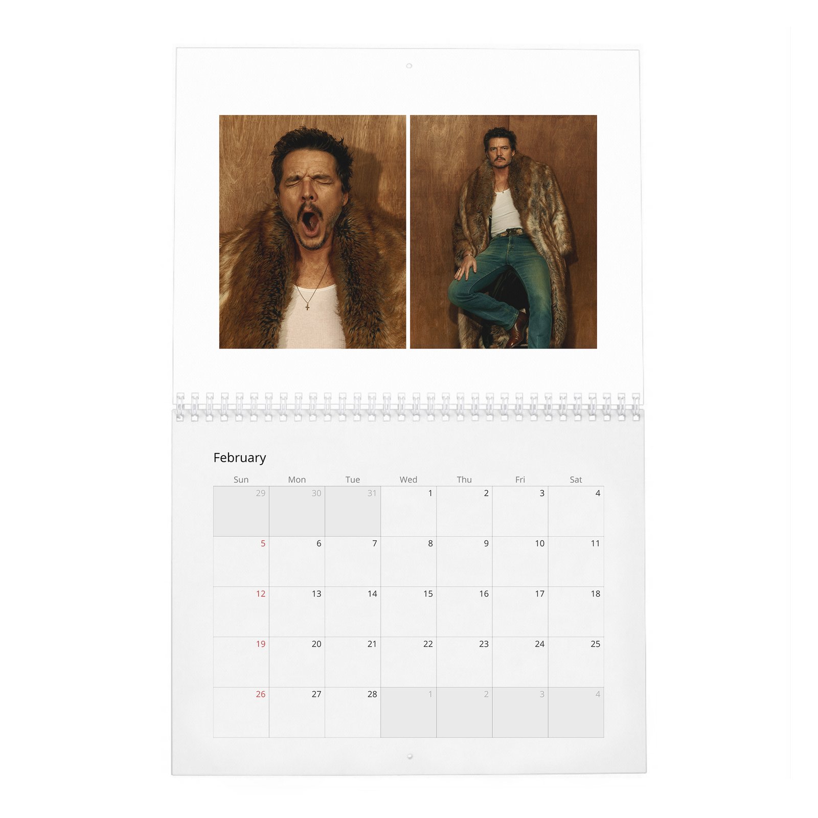 02 Pedro Pascal - The Dangerously Charming 2027 Wall Calendar