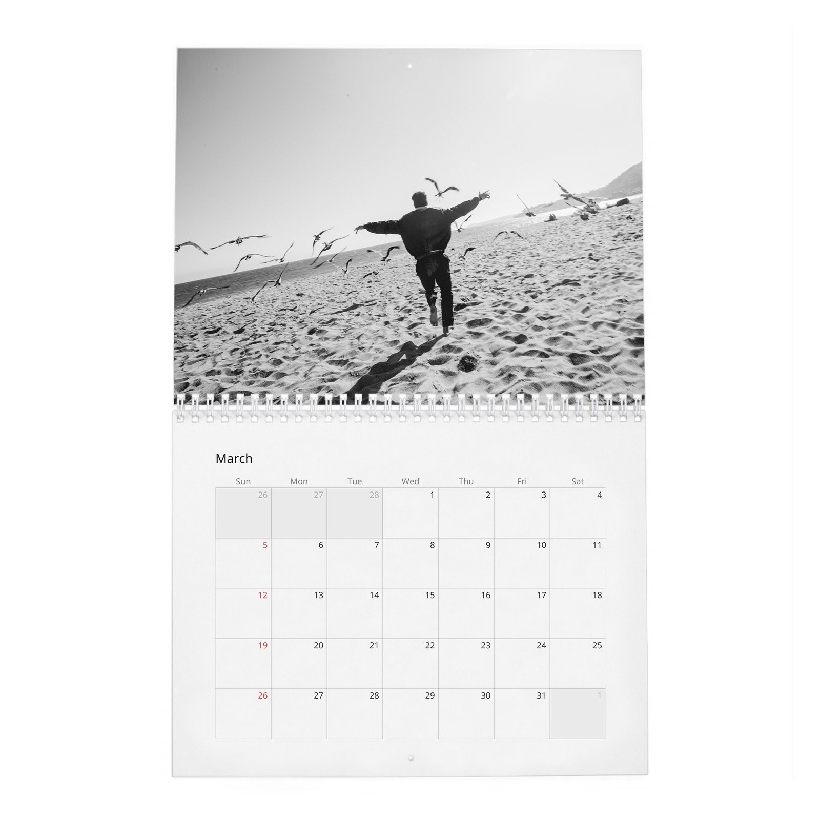 Taylor Zakhar Perez - Content 2027 Wall Calendar