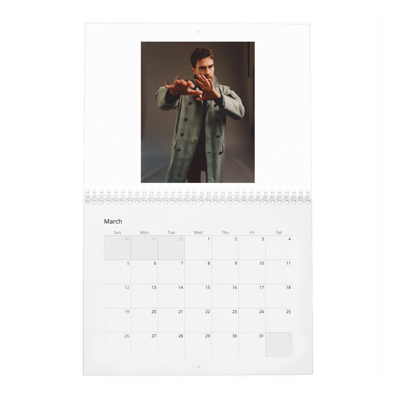 03 Theo James - Objectification And Being A Heart-Throb 2027 Wall Calendar
