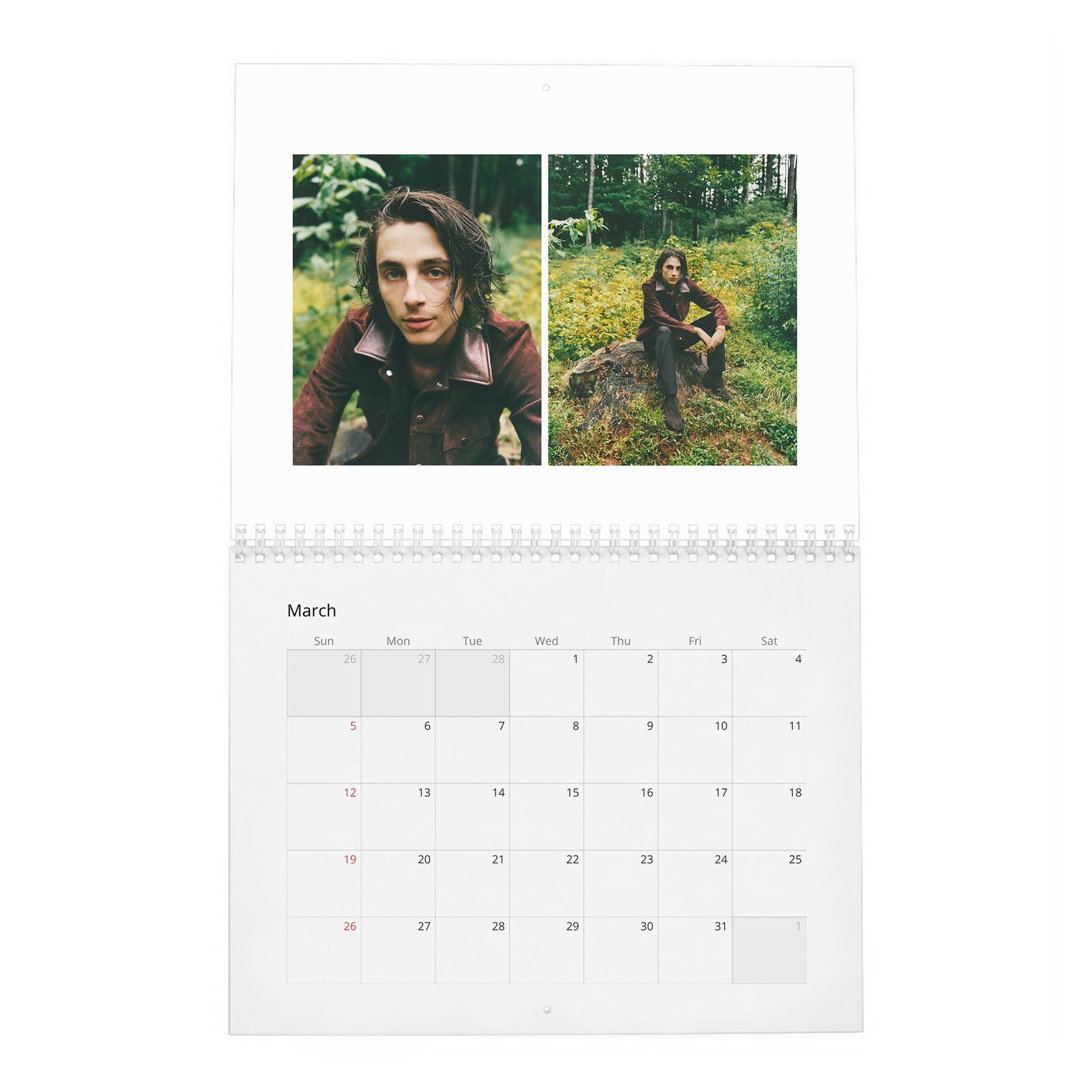 03 Timothée Chalamet - Hiding Out In Woodstock With 2027 Wall Calendar