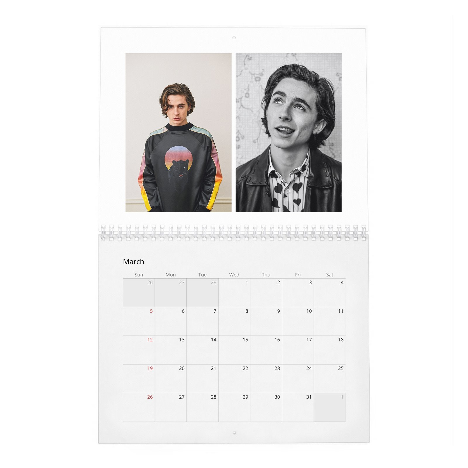 Timothée Chalamet - The Arrival Of 2027 Wall Calendar