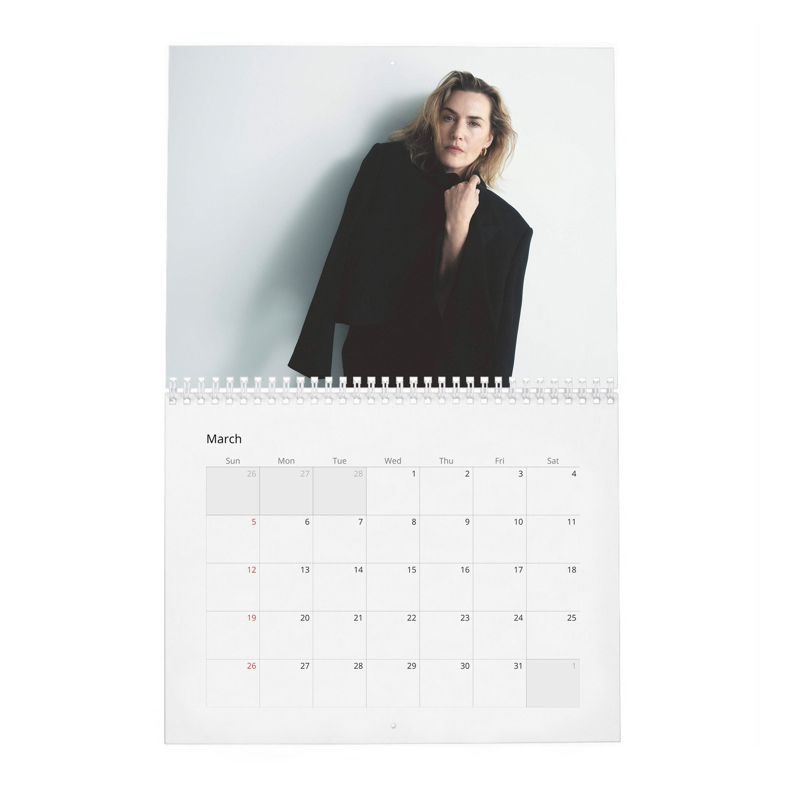 Kate Winslet - Star Power 2027 Wall Calendar