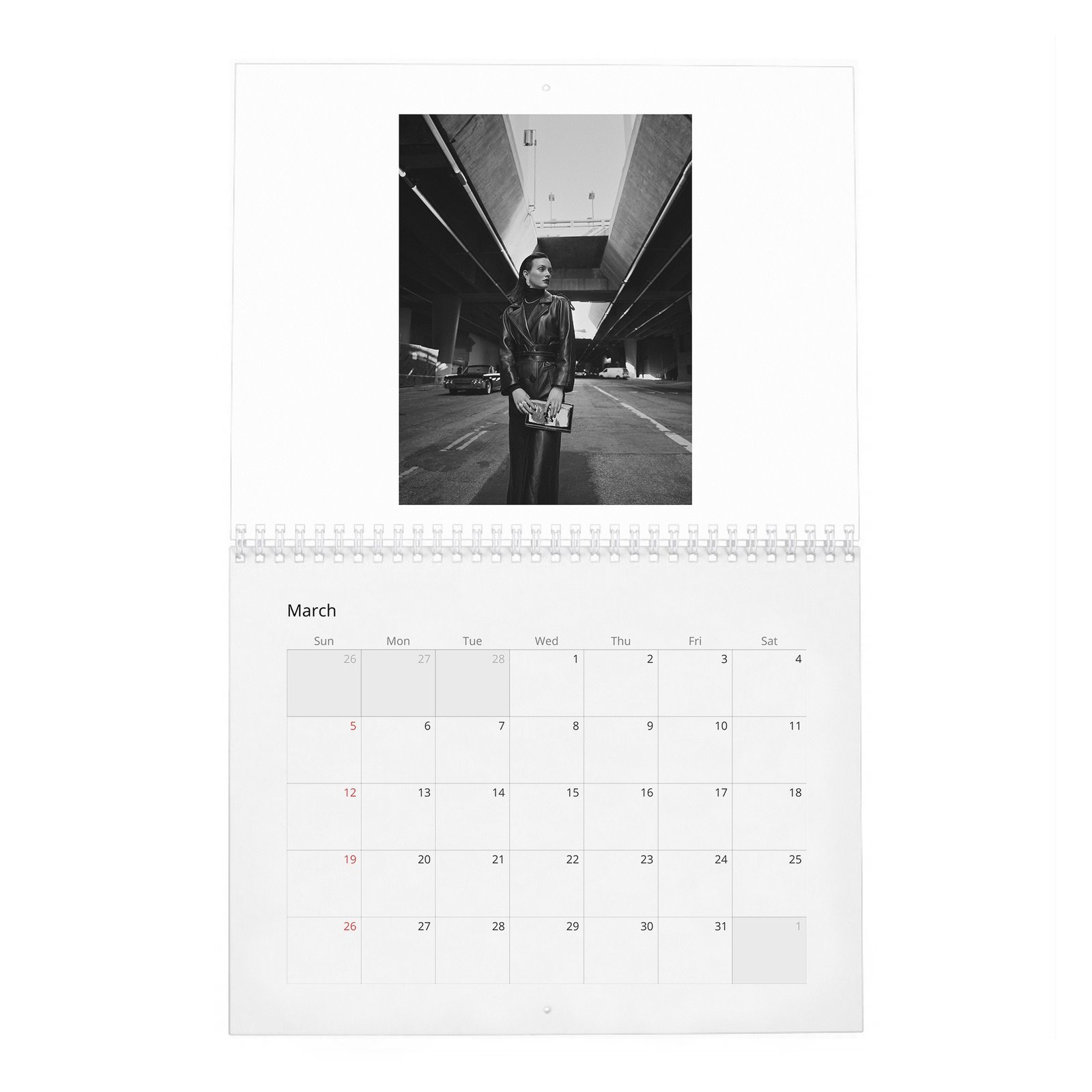 03 Leighton Meester - The Next Episode 2027 Wall Calendar
