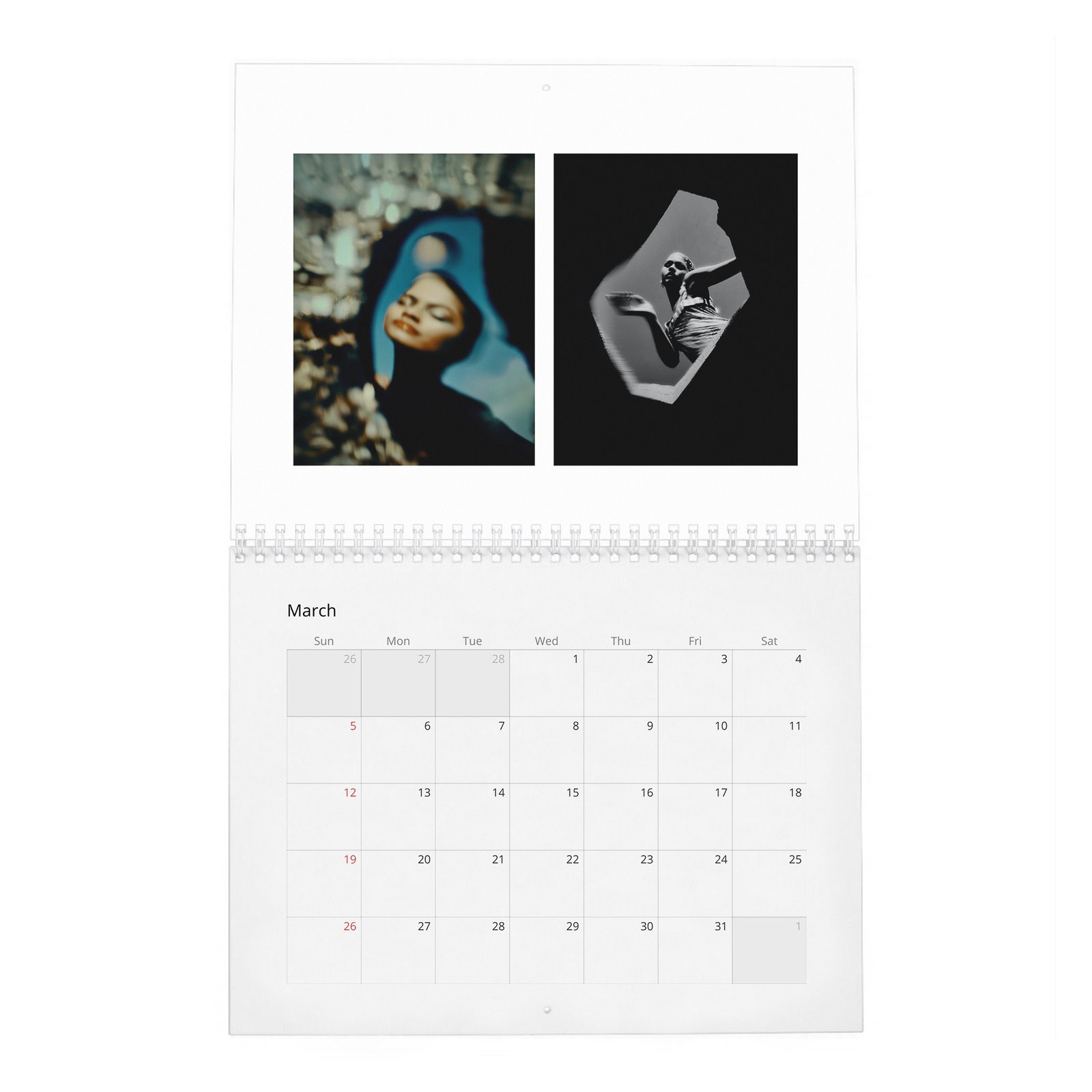 03 Zendaya - Future Human 2027 Wall Calendar