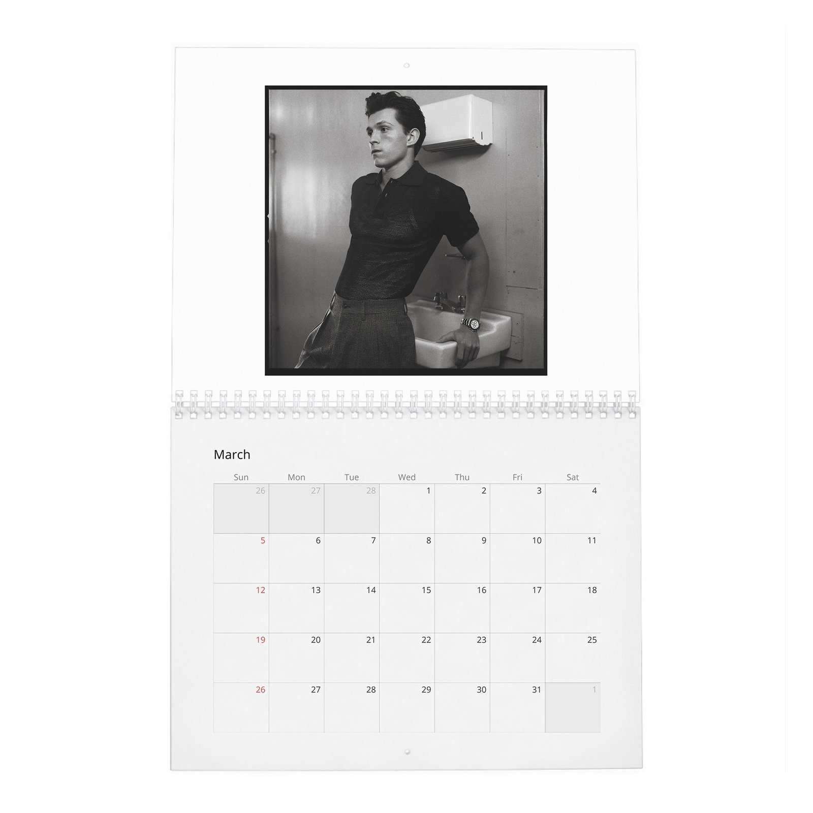 03 Tom Holland - The Charm And Grit Of 2027 Wall Calendar