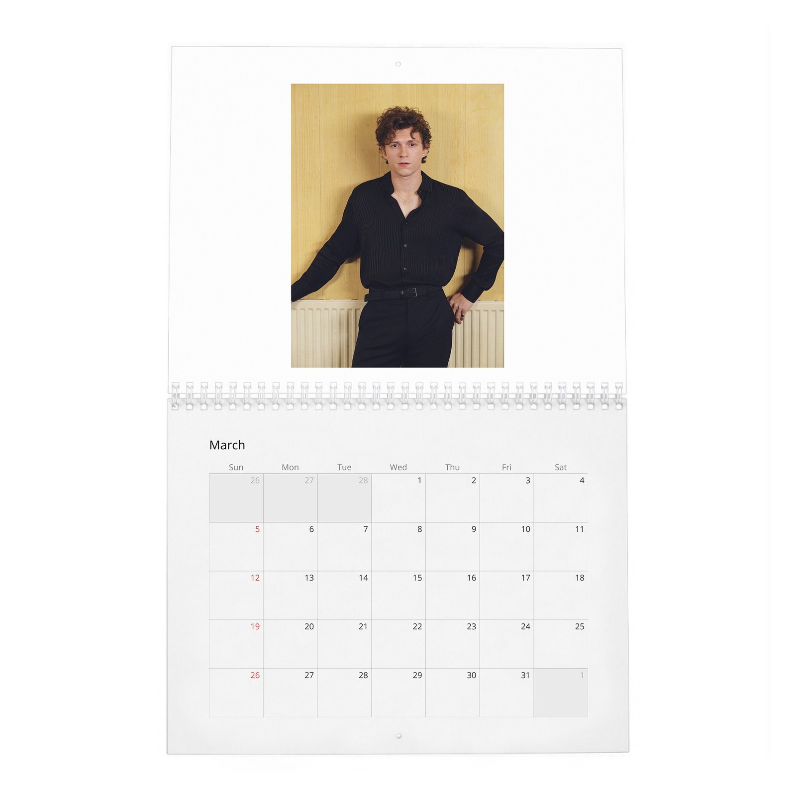 Tom Holland - The Center Of The Web 2027 Wall Calendar