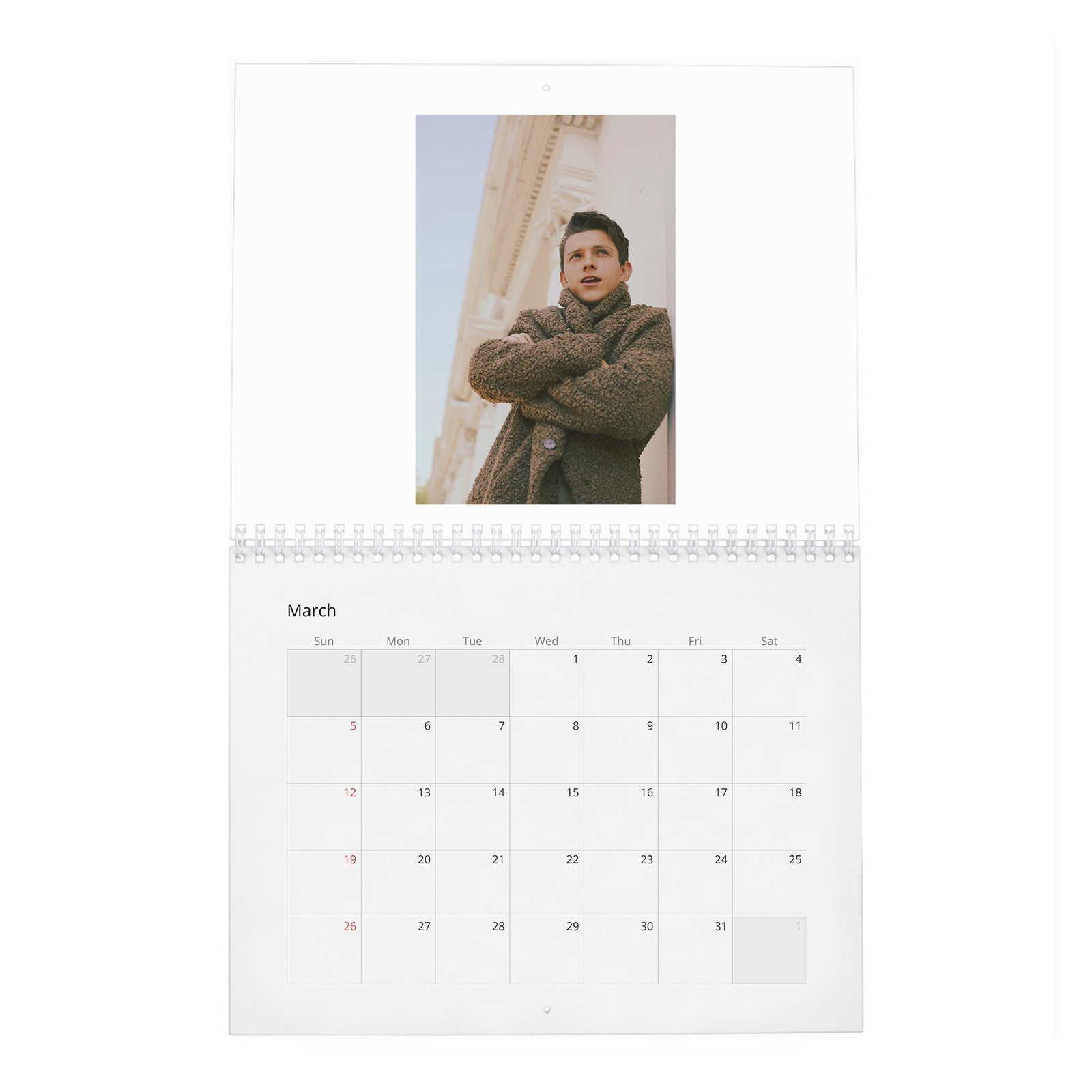 Tom Holland - Braces For Impact 2027 Wall Calendar