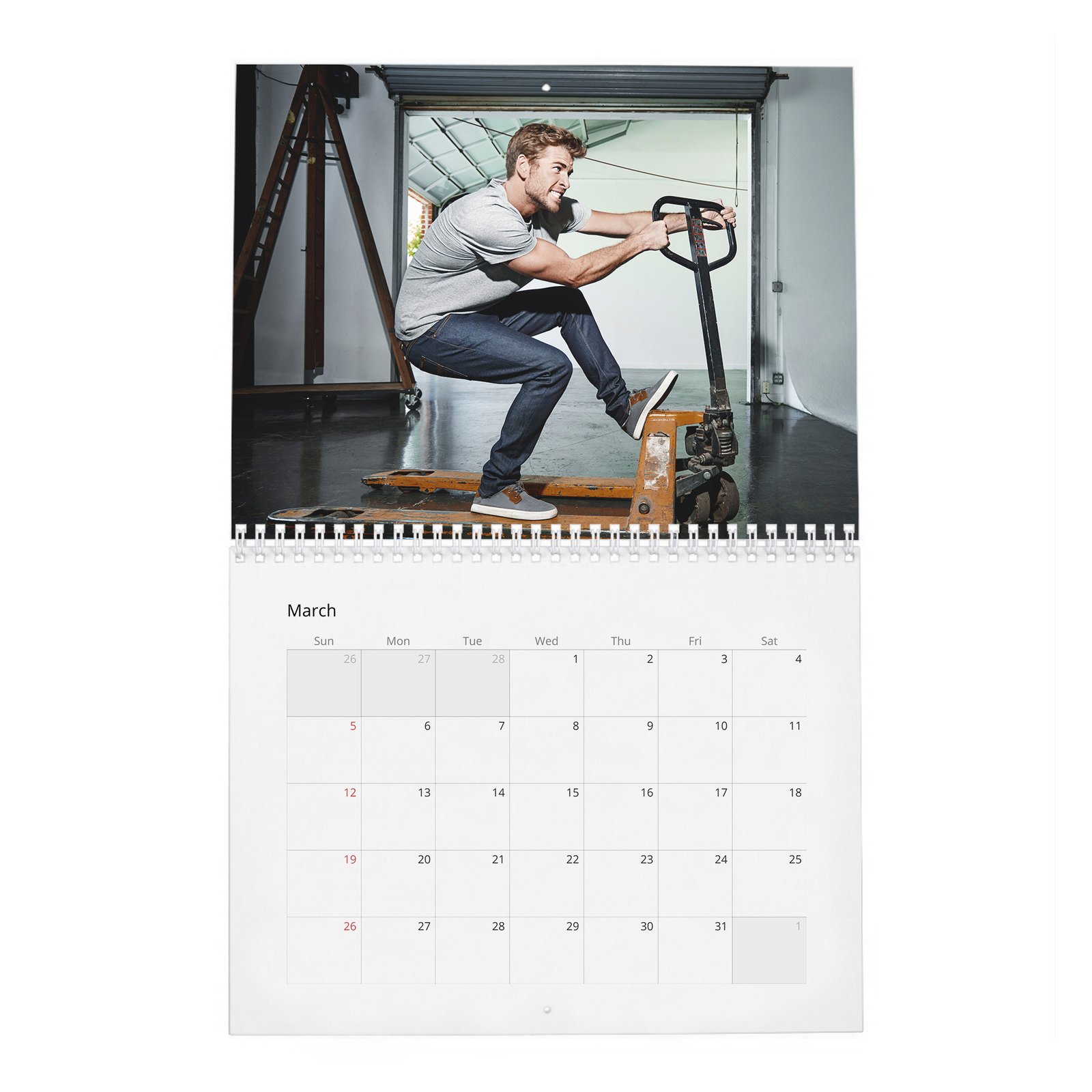 03 Liam Hemsworth - A Force Of Nature 2027 Wall Calendar