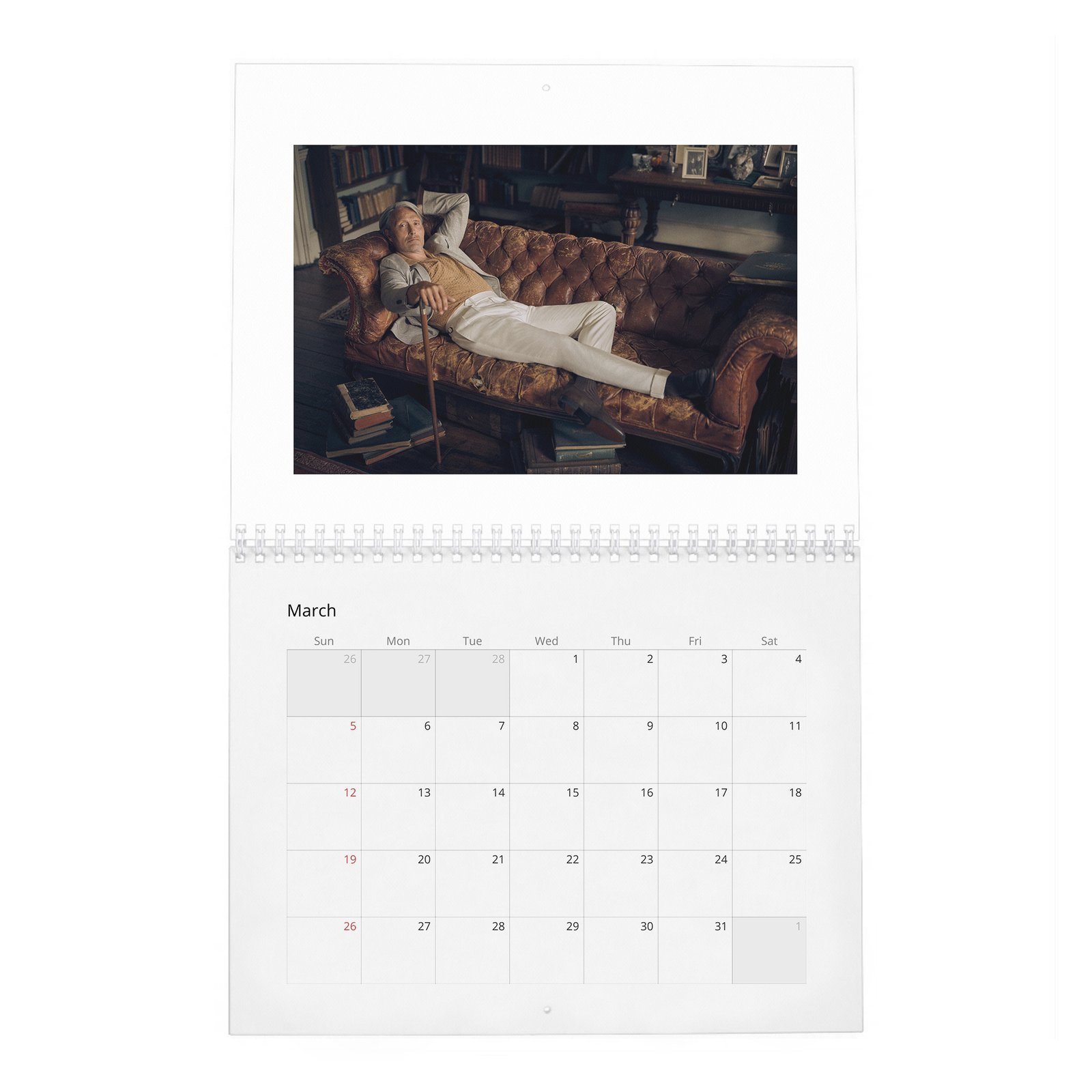 Mads Mikkelsen - The Great Dane 2027 Wall Calendar