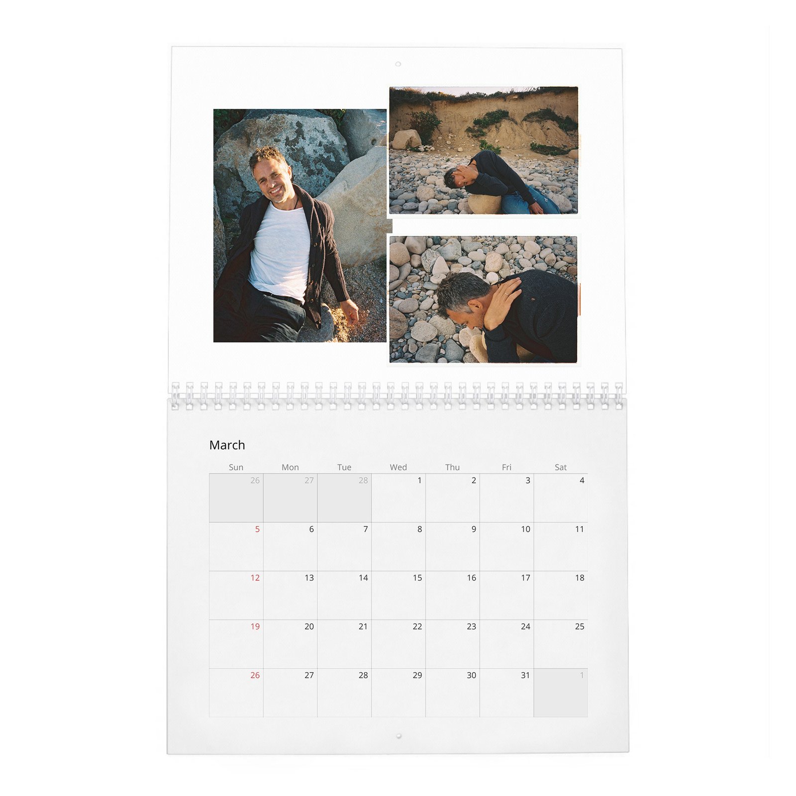 03 Mark Ruffalo - So It Goes 2027 Wall Calendar