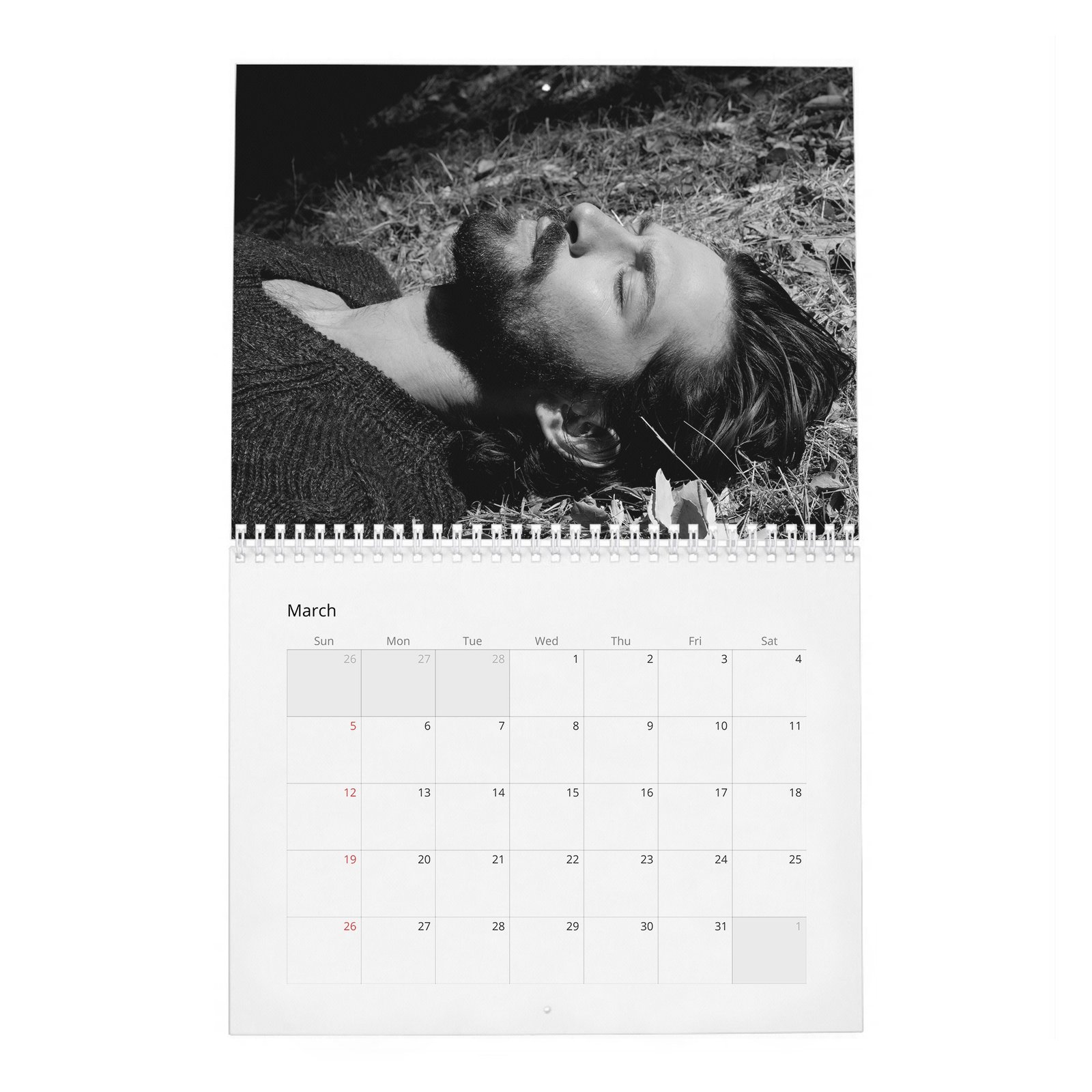Michiel Huisman - Force At Large 2027 Wall Calendar