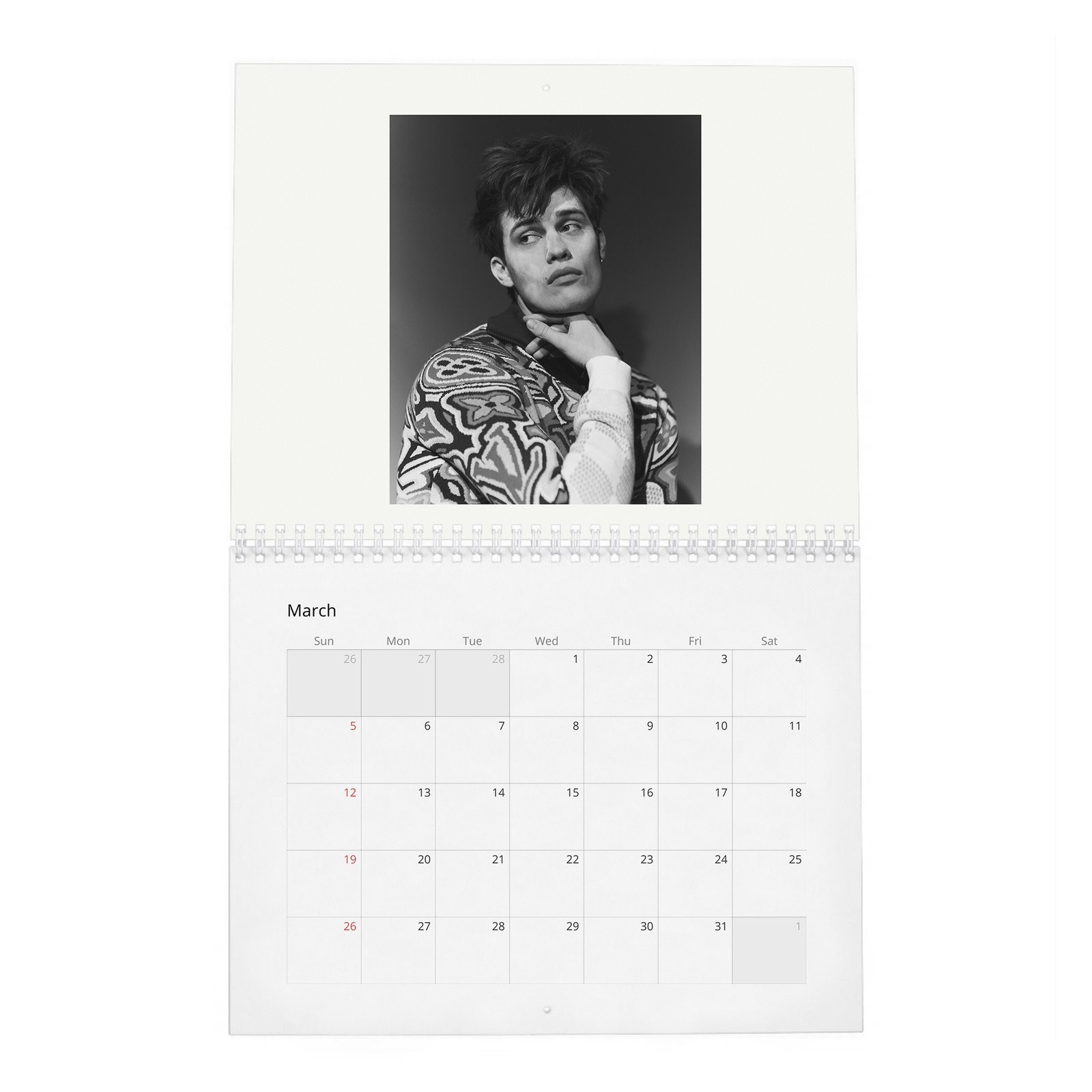 03 Nicholas Galitzine - Flaunt 2027 Wall Calendar
