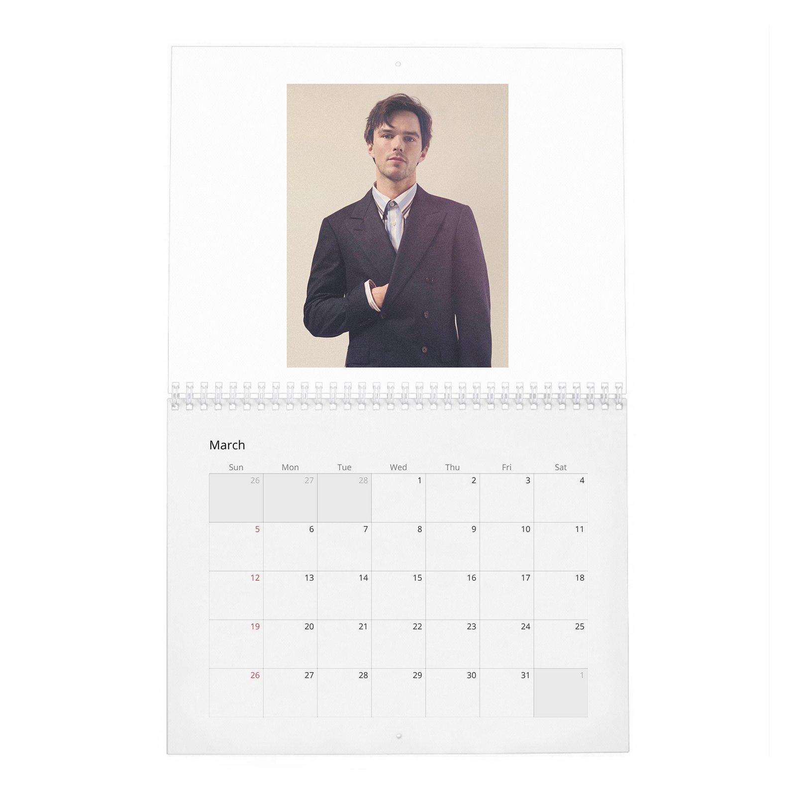 Nicholas Hoult - The Great 2027 Wall Calendar