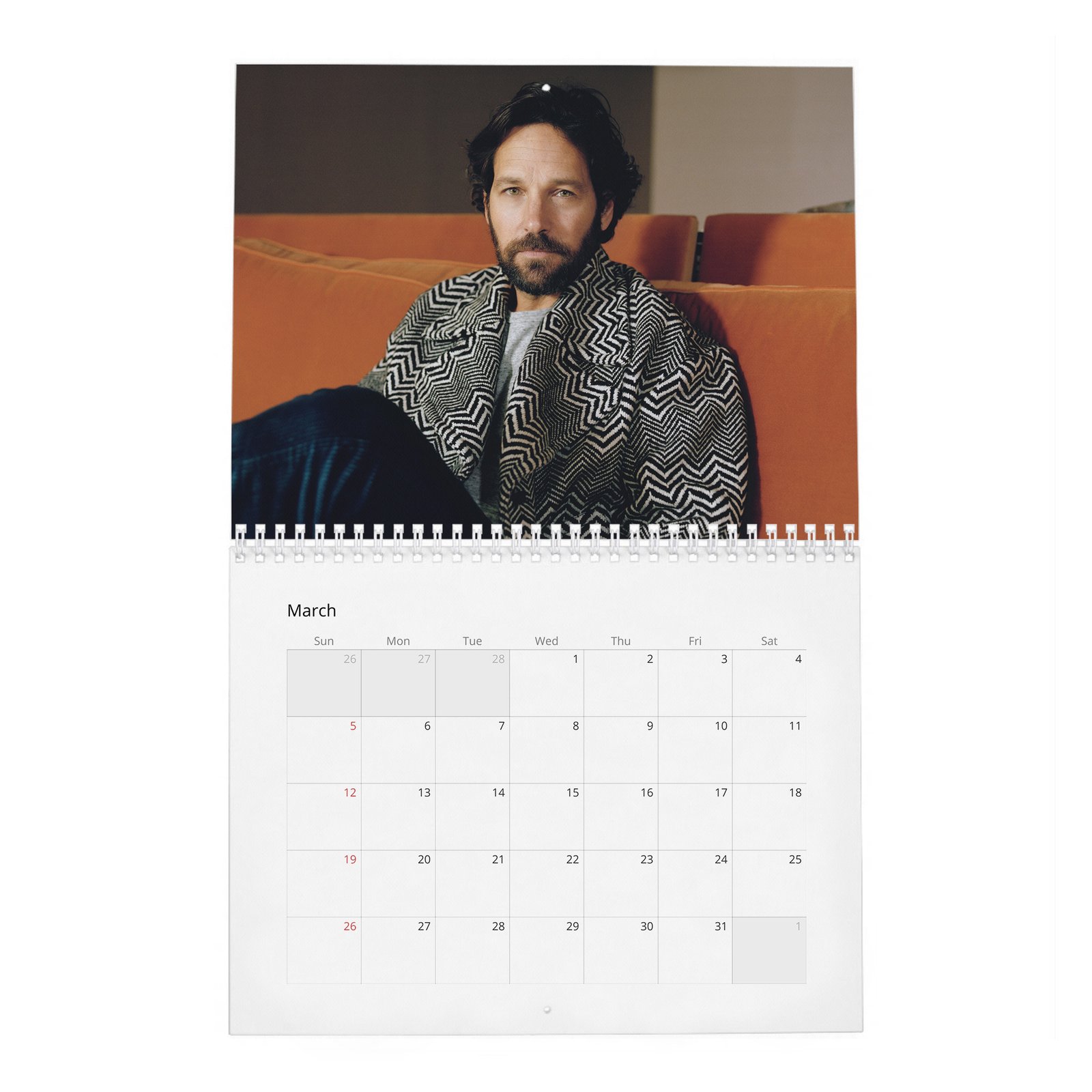 Paul Rudd - Outside His Wheelhouse 2027 Wall Calendar