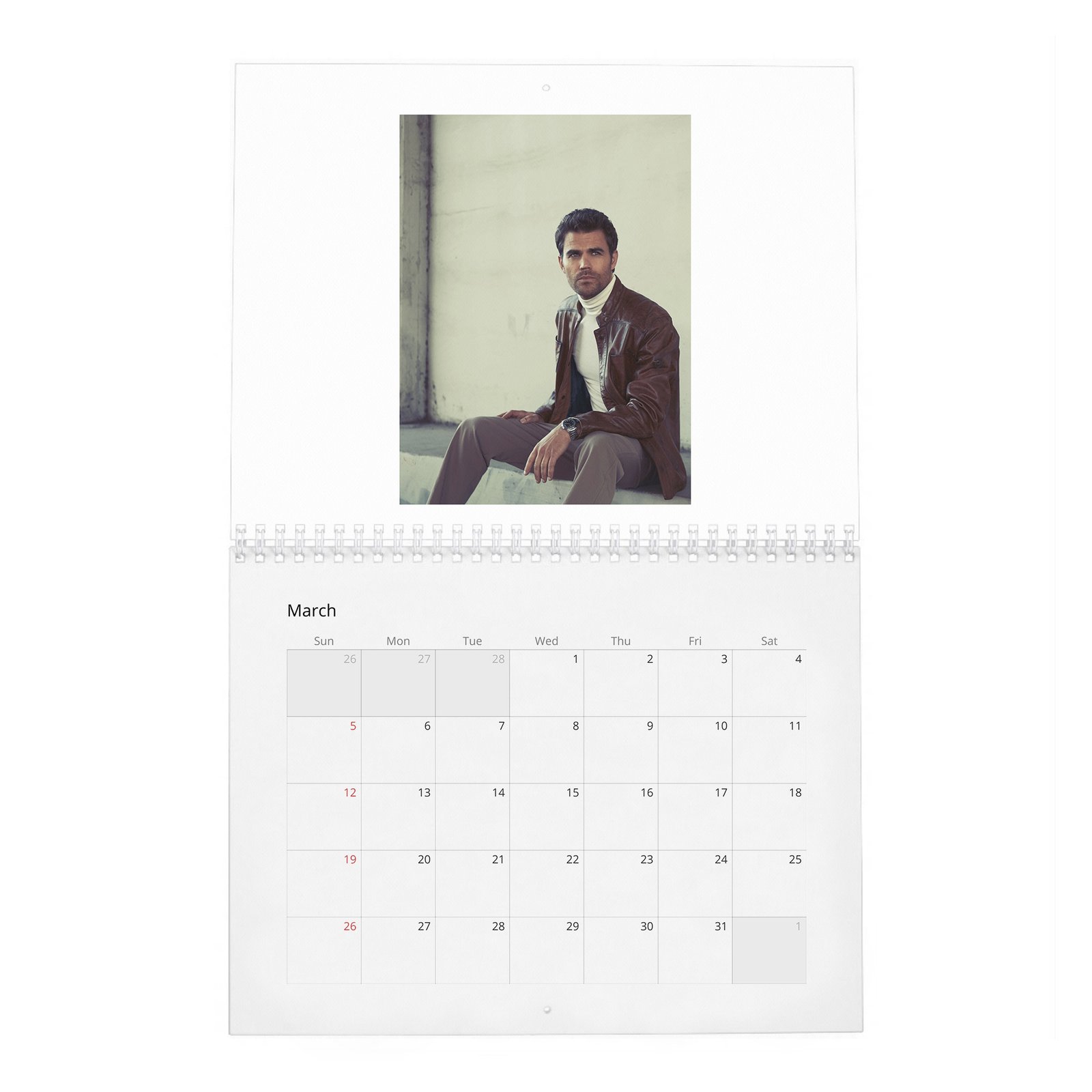 03 Paul Wesley - Handsome Devil 2027 Wall Calendar