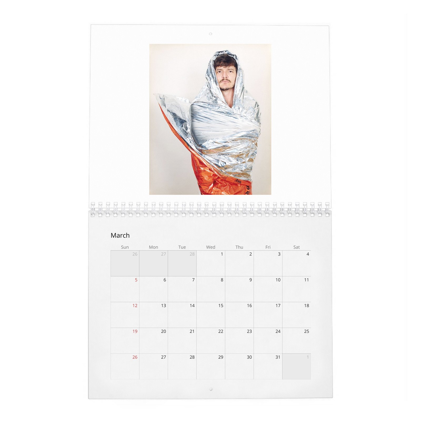 Pedro Pascal - Bad Hombre 2027 Wall Calendar