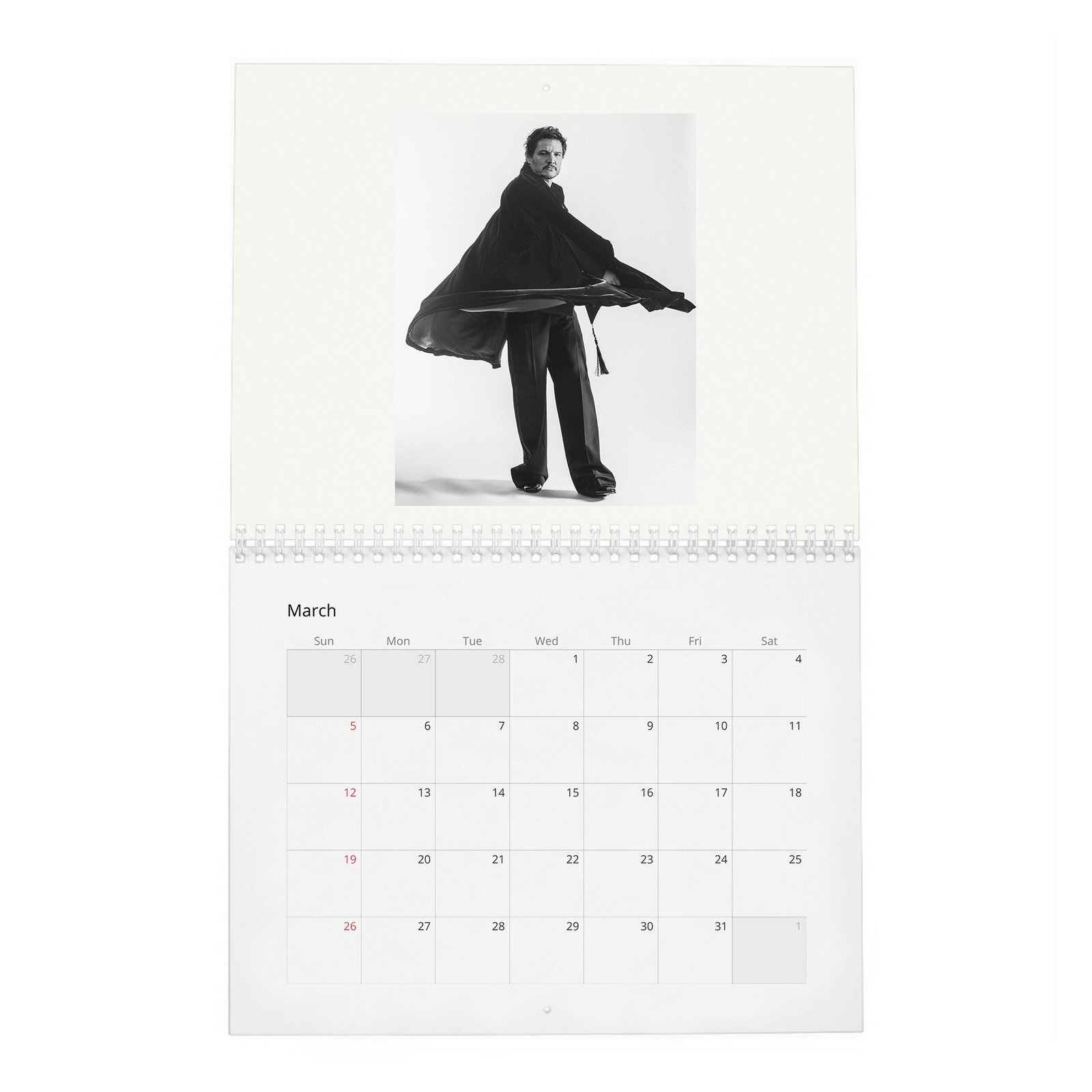 03 Pedro Pascal - Flaunt 2027 Wall Calendar