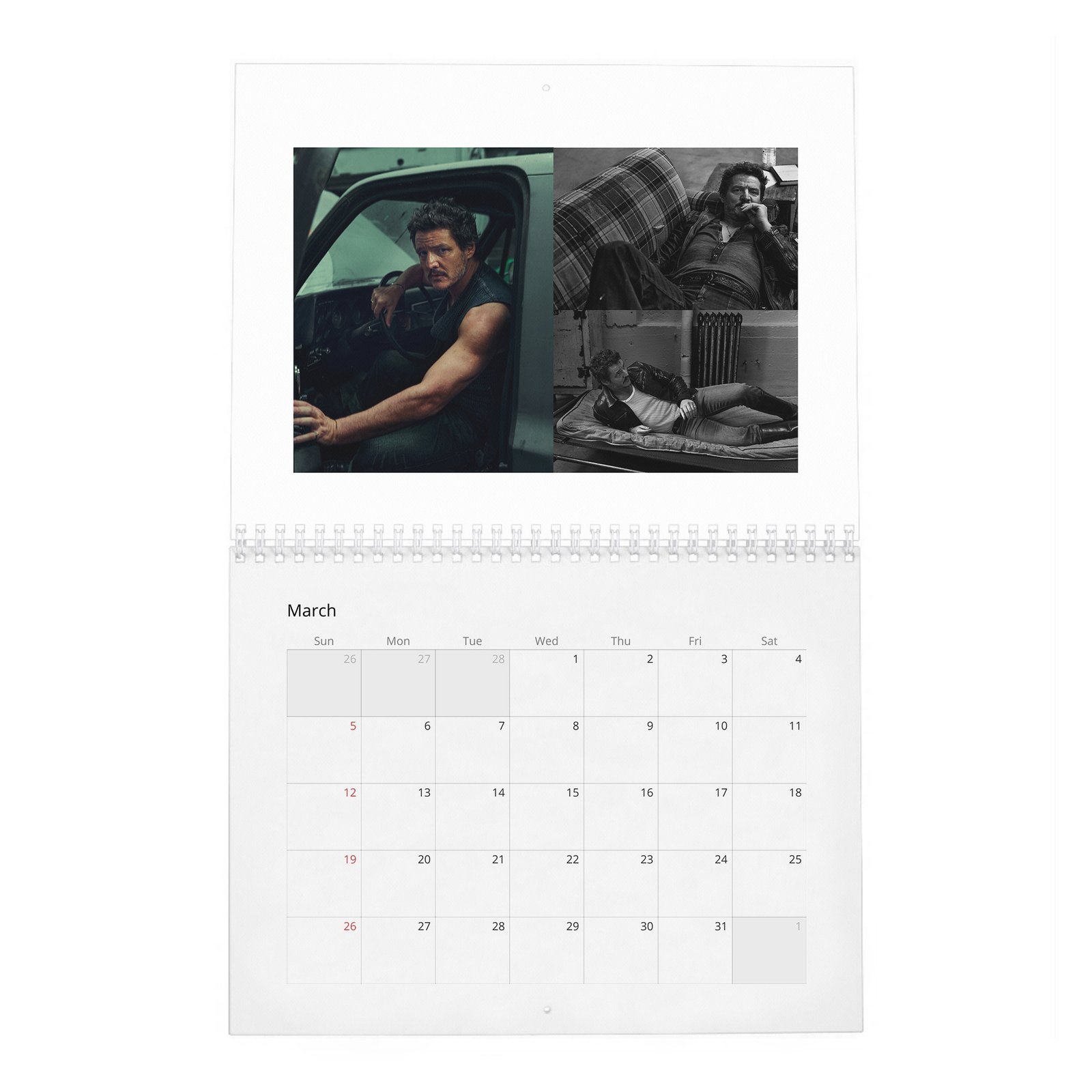 03 Pedro Pascal - The Dangerously Charming 2027 Wall Calendar