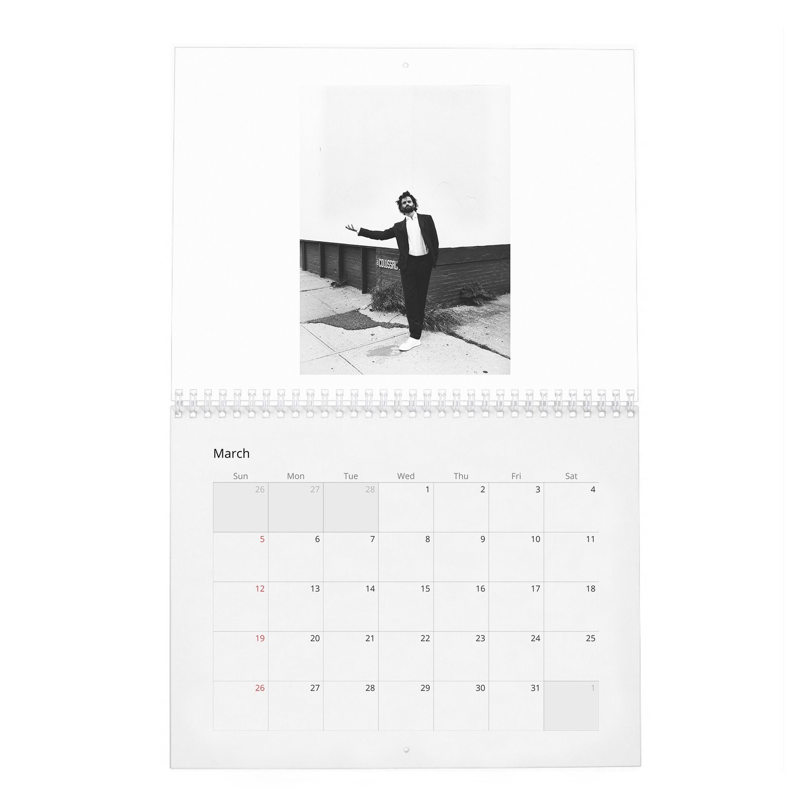 Penn Badgley - Perfect Handsome 2027 Wall Calendar