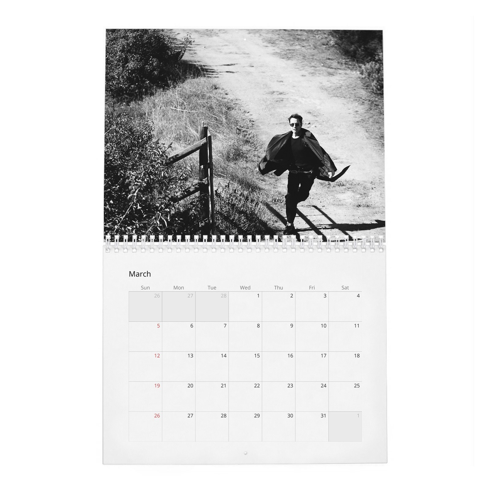 03 Robert Downey Jr. - Acts Up 2027 Wall Calendar