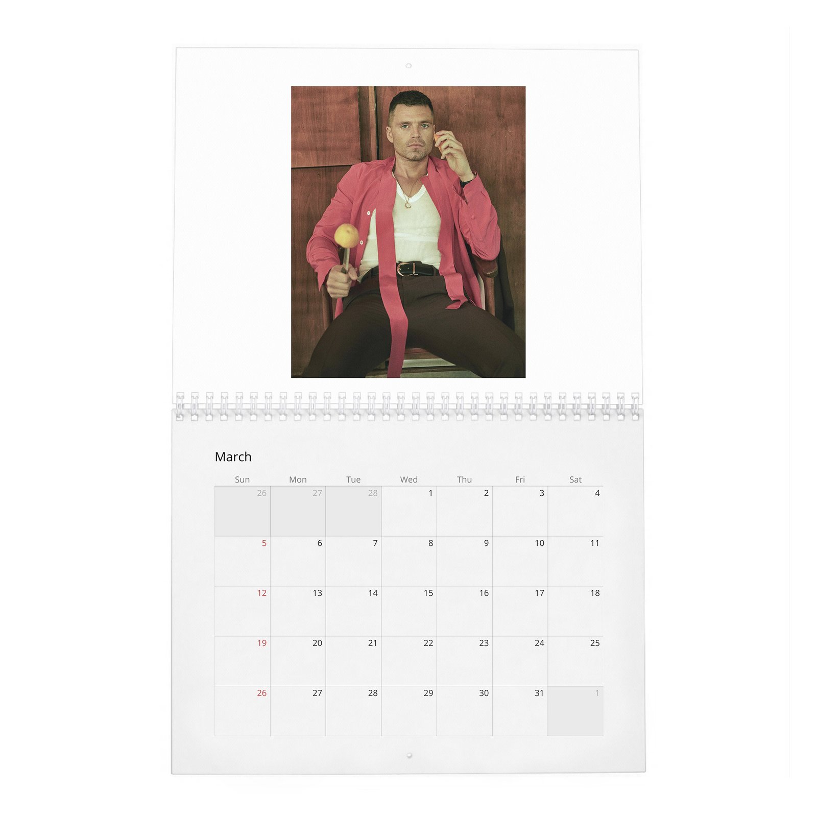 03 Sebastian Stan - Dives Deep 2027 Wall Calendar