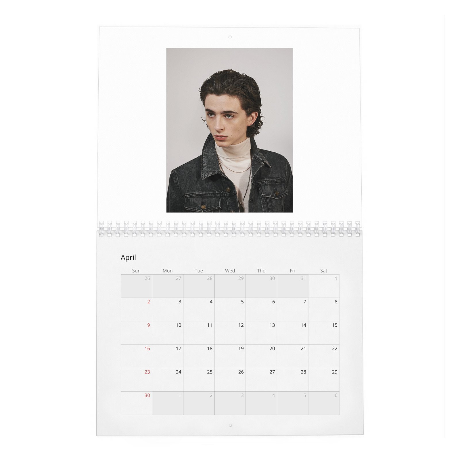 04 Timothée Chalamet - A Day In The Life Of 2027 Wall Calendar